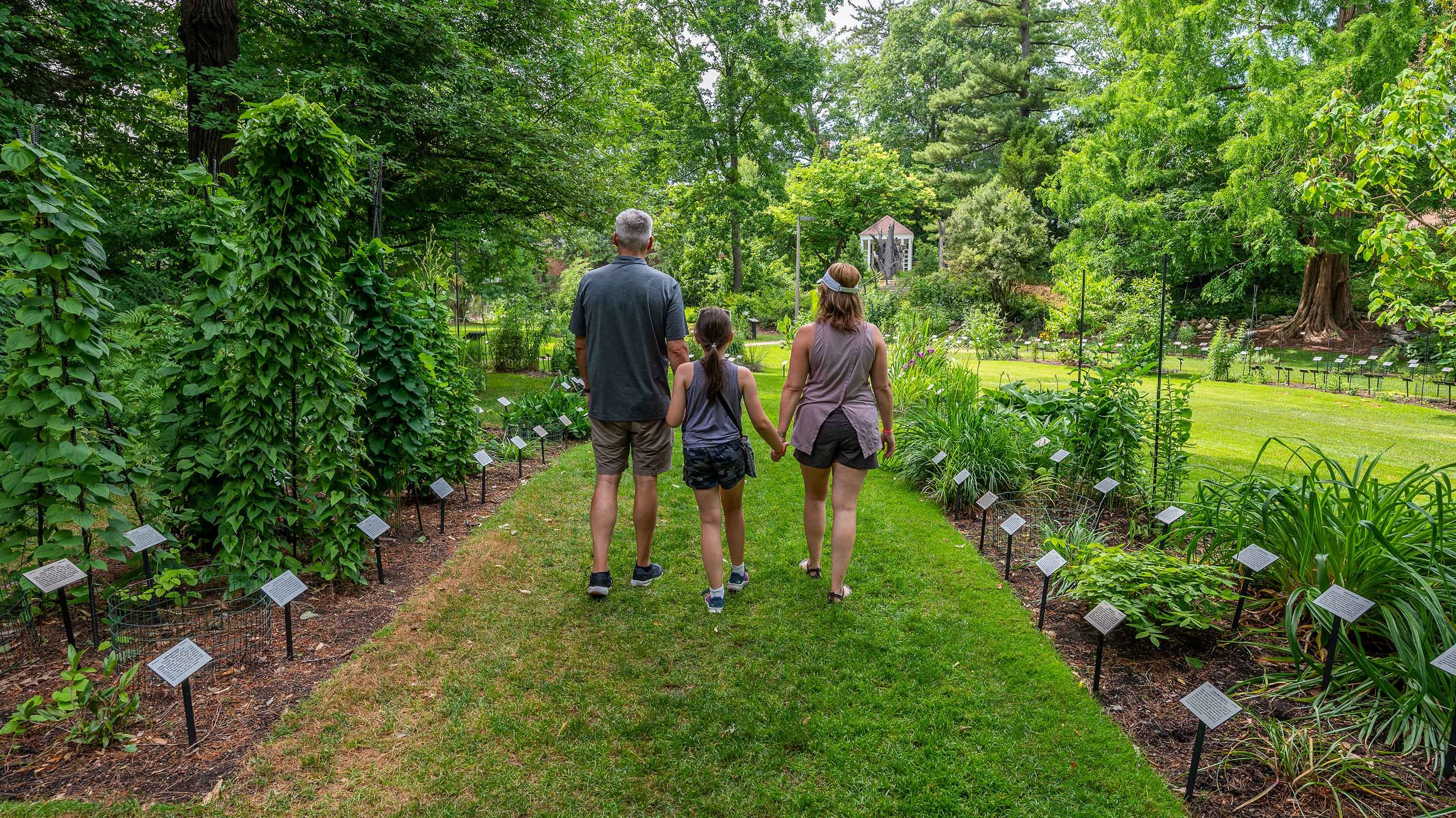 Family, seen from behind, walking in Beal Botanical Garden