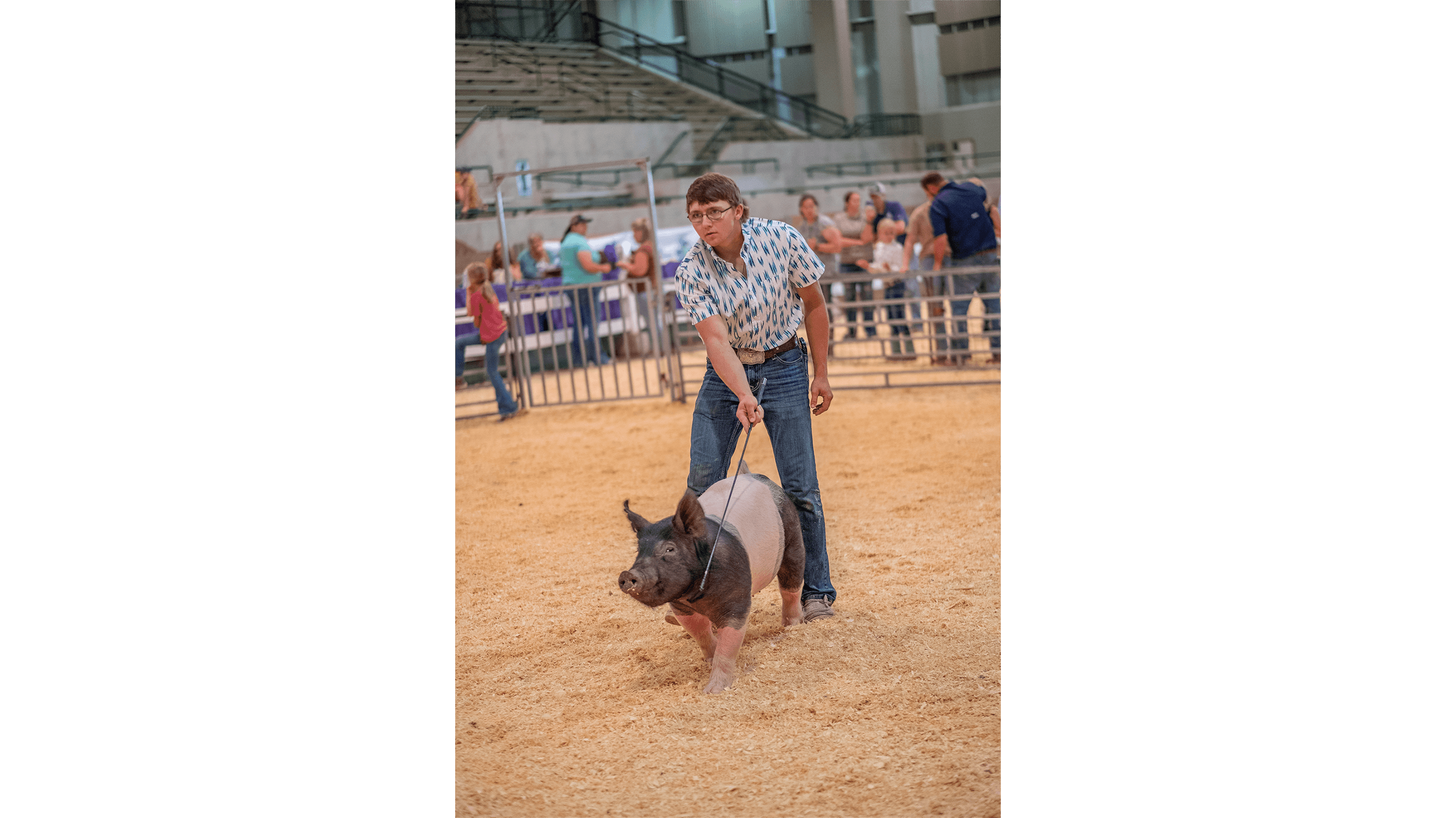 Farmer with pig at livestock expo