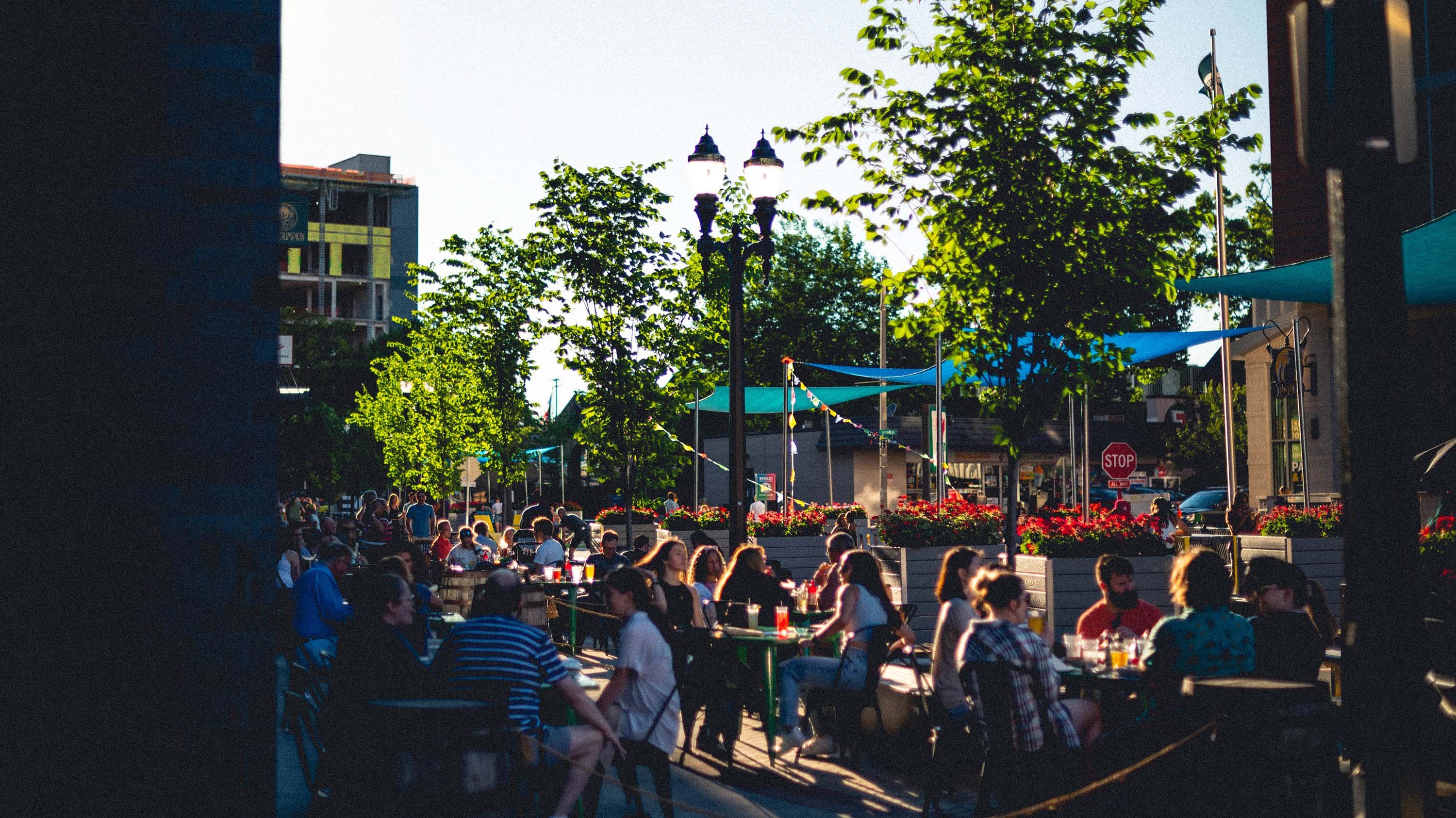 People dining in an outdoor area on Albert Ave