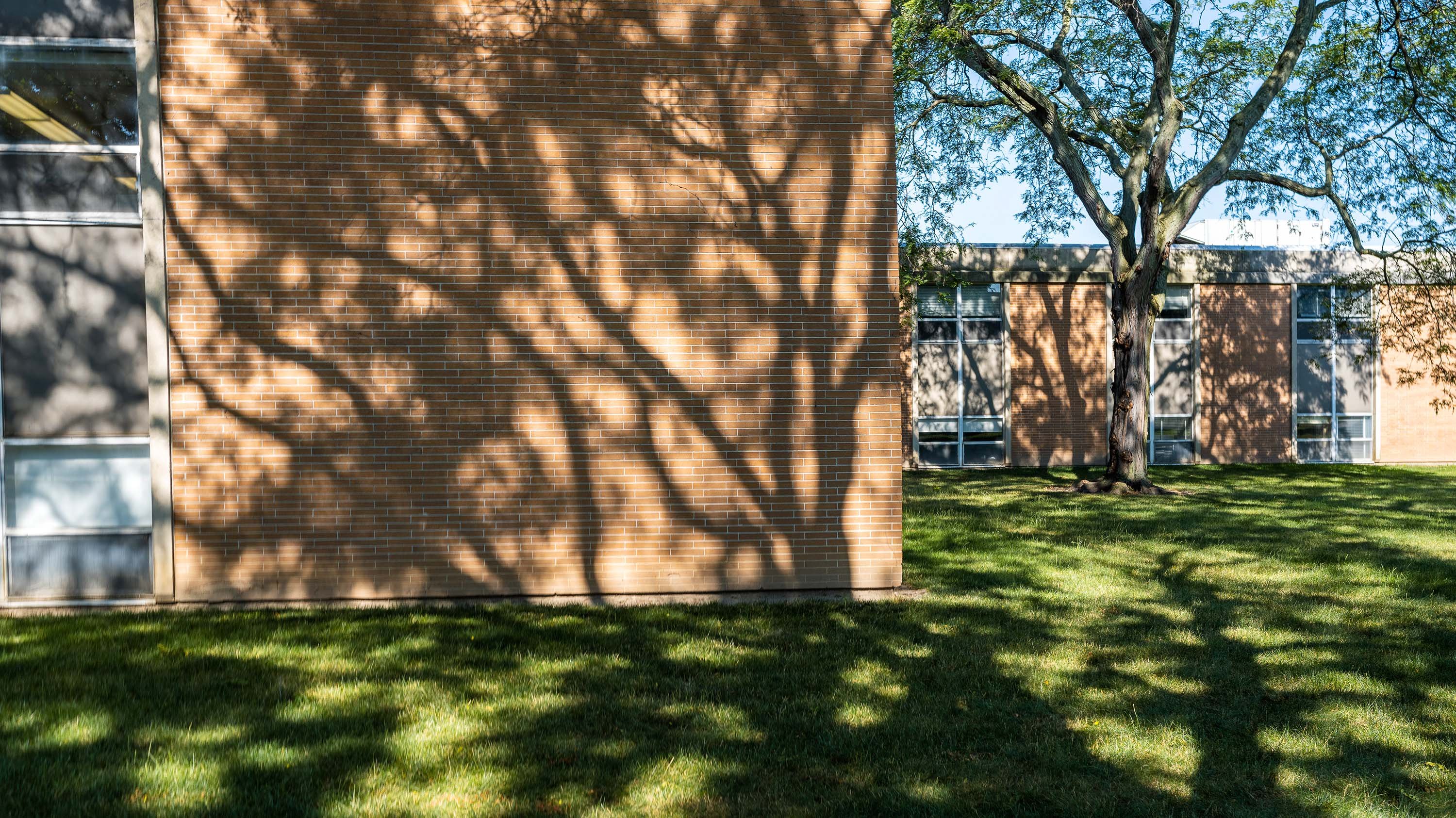 Shadows on the Urban Planning and Landscape Architecture building