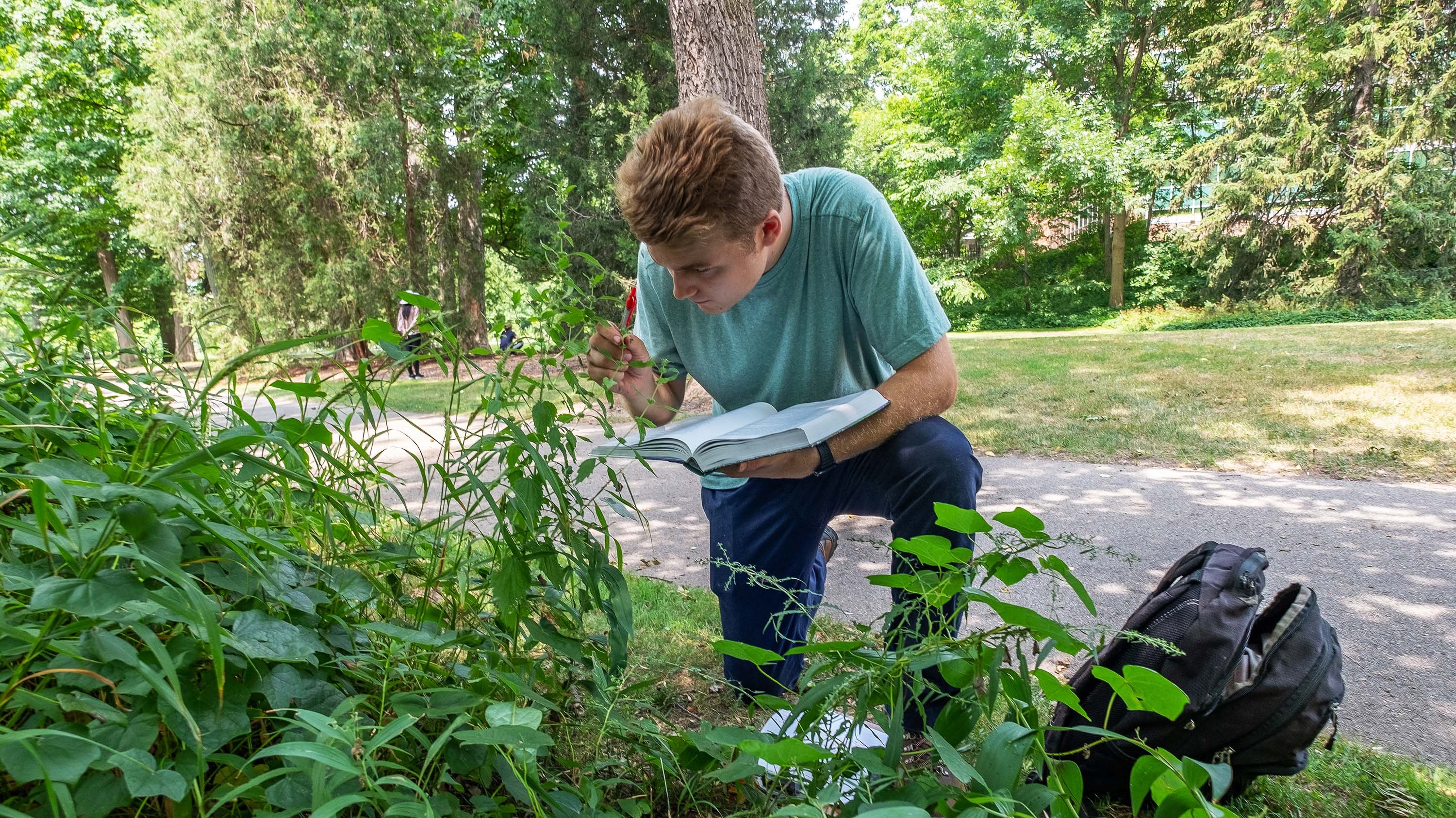 Jake Mantela, Beal Garden crewmember, works to identify species of plants along the Red Cedar River