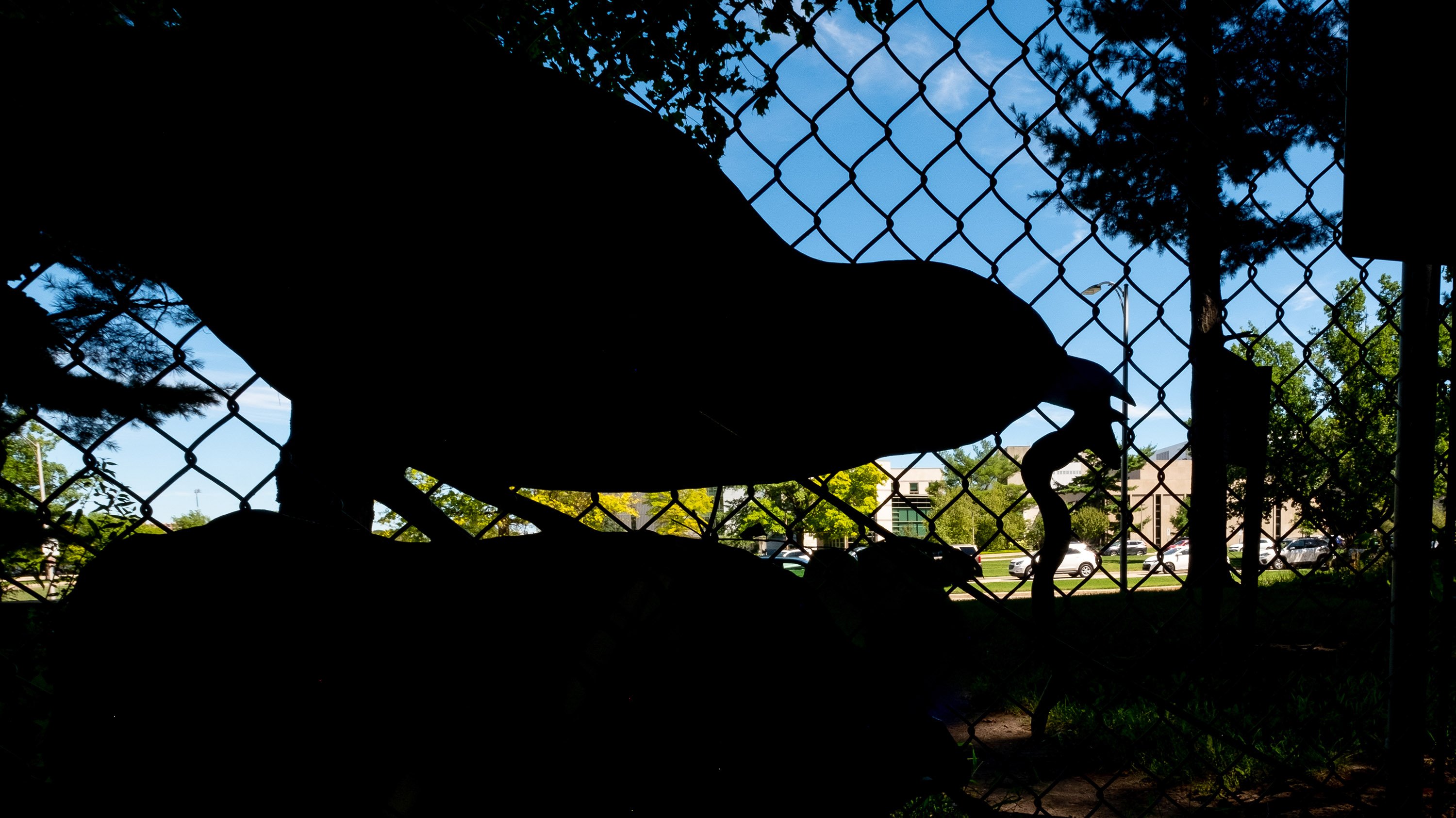 Silhouette of a sign on the entrance to Baker Woodlot that resembles a bird with a worm in its beak