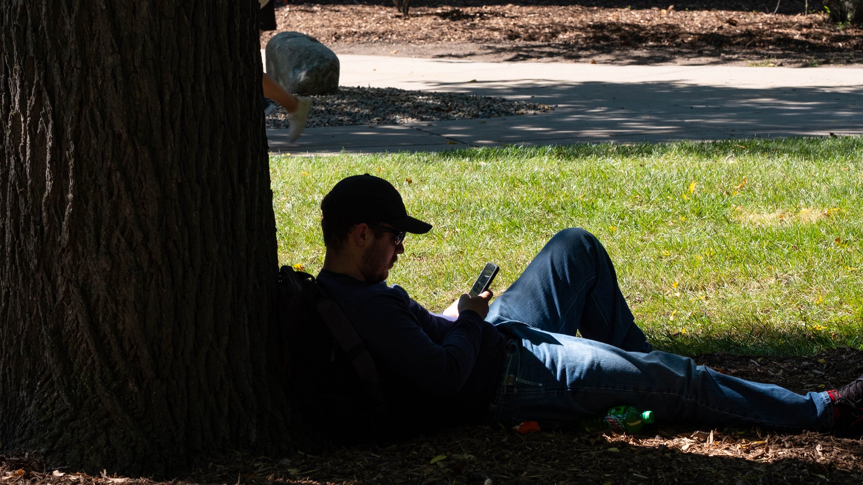 Person using phone lying beneath a tree