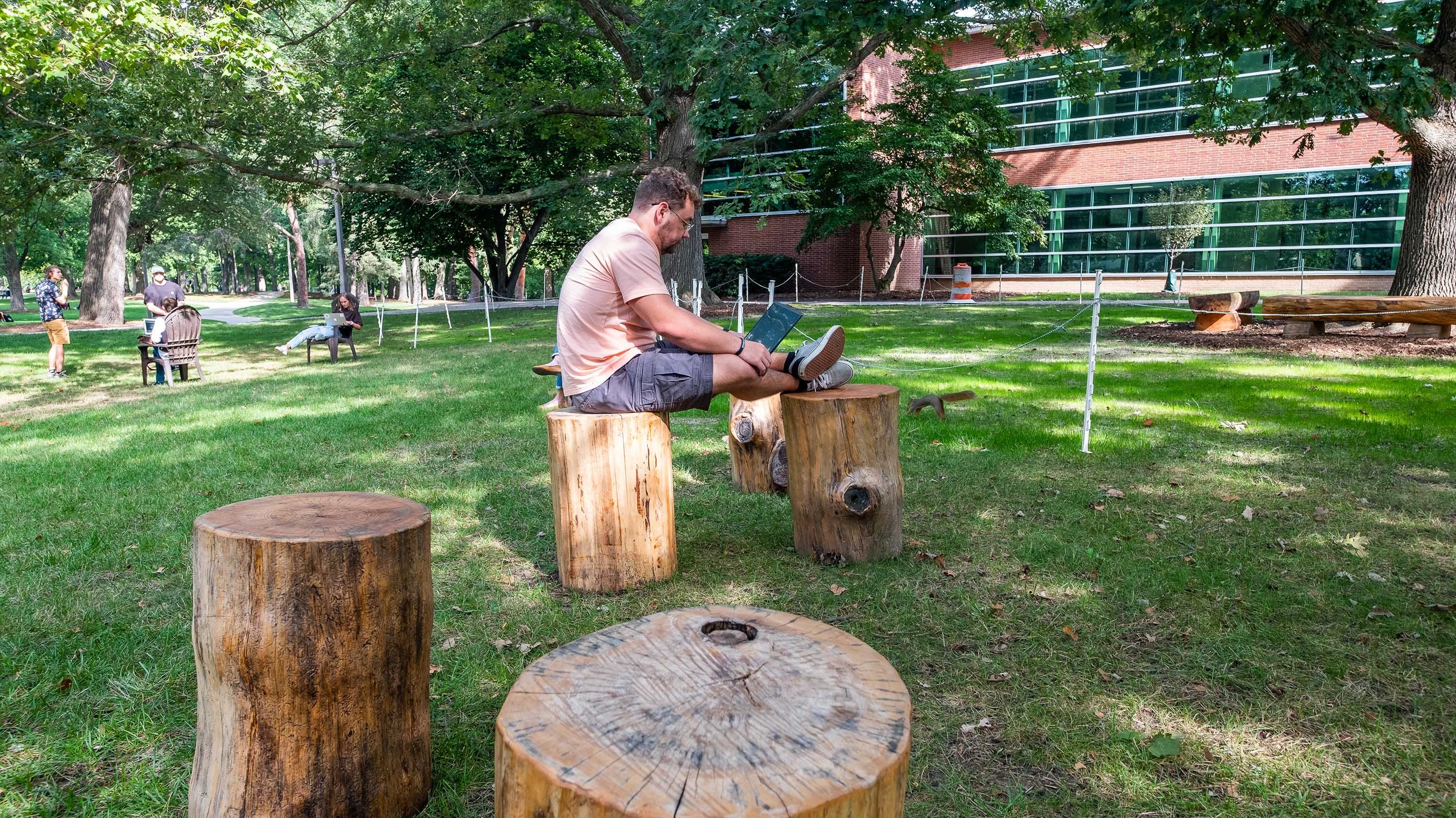 Student with laptop studying atop tree stumps