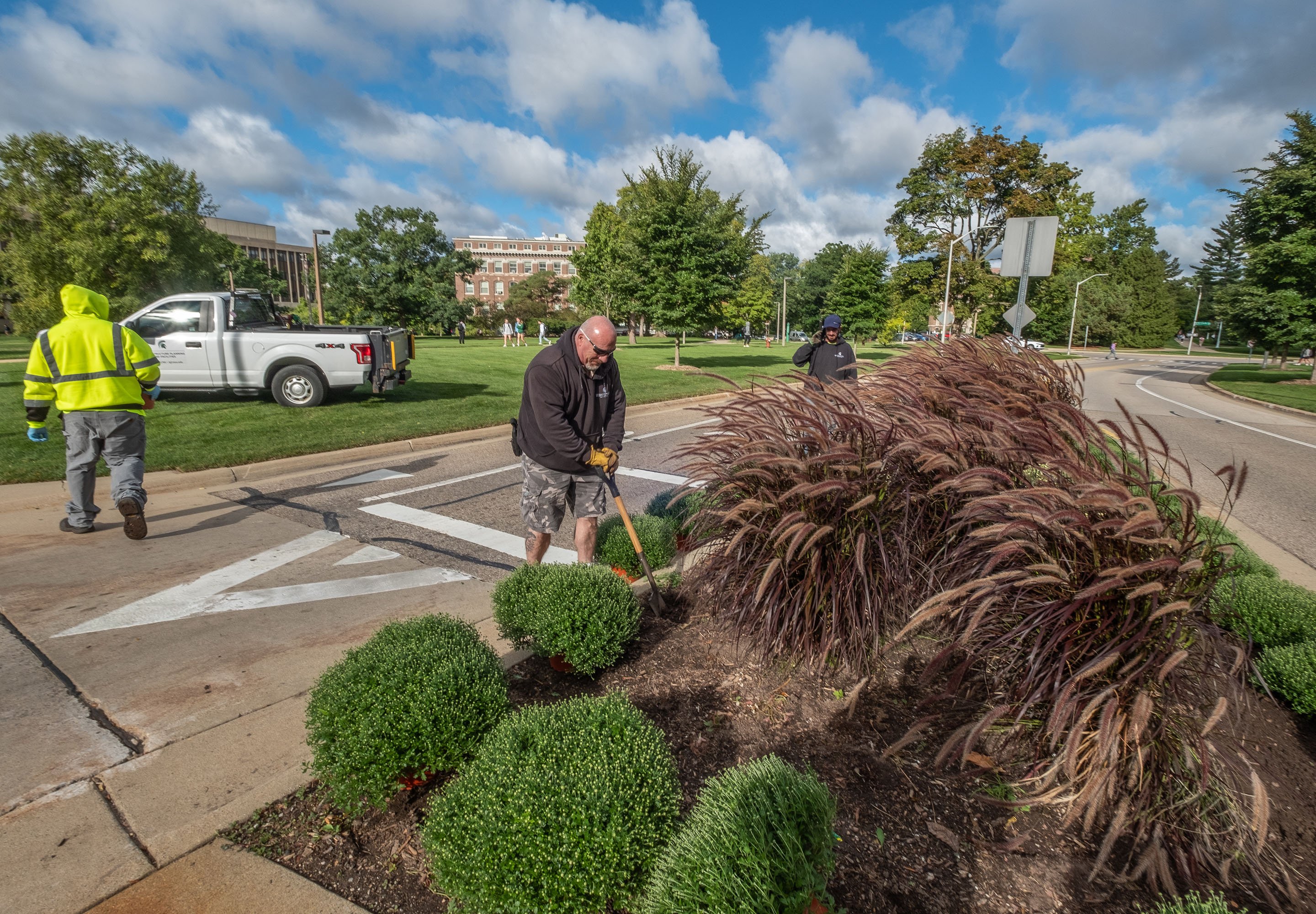 Members of Landscape Services plant mums in an area along Auditorium Road.