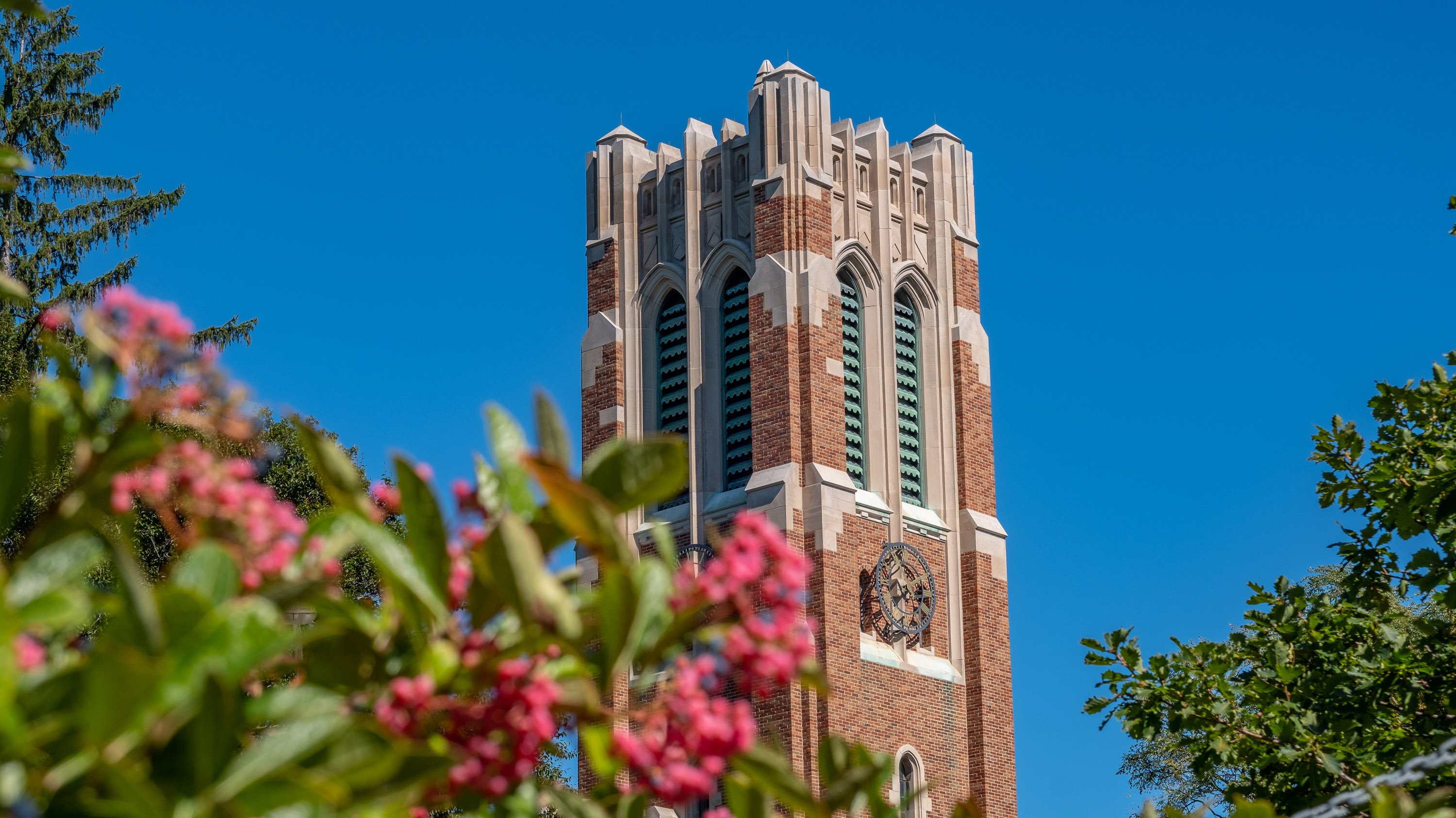 Foliage with berries in front of Beaumont Tower