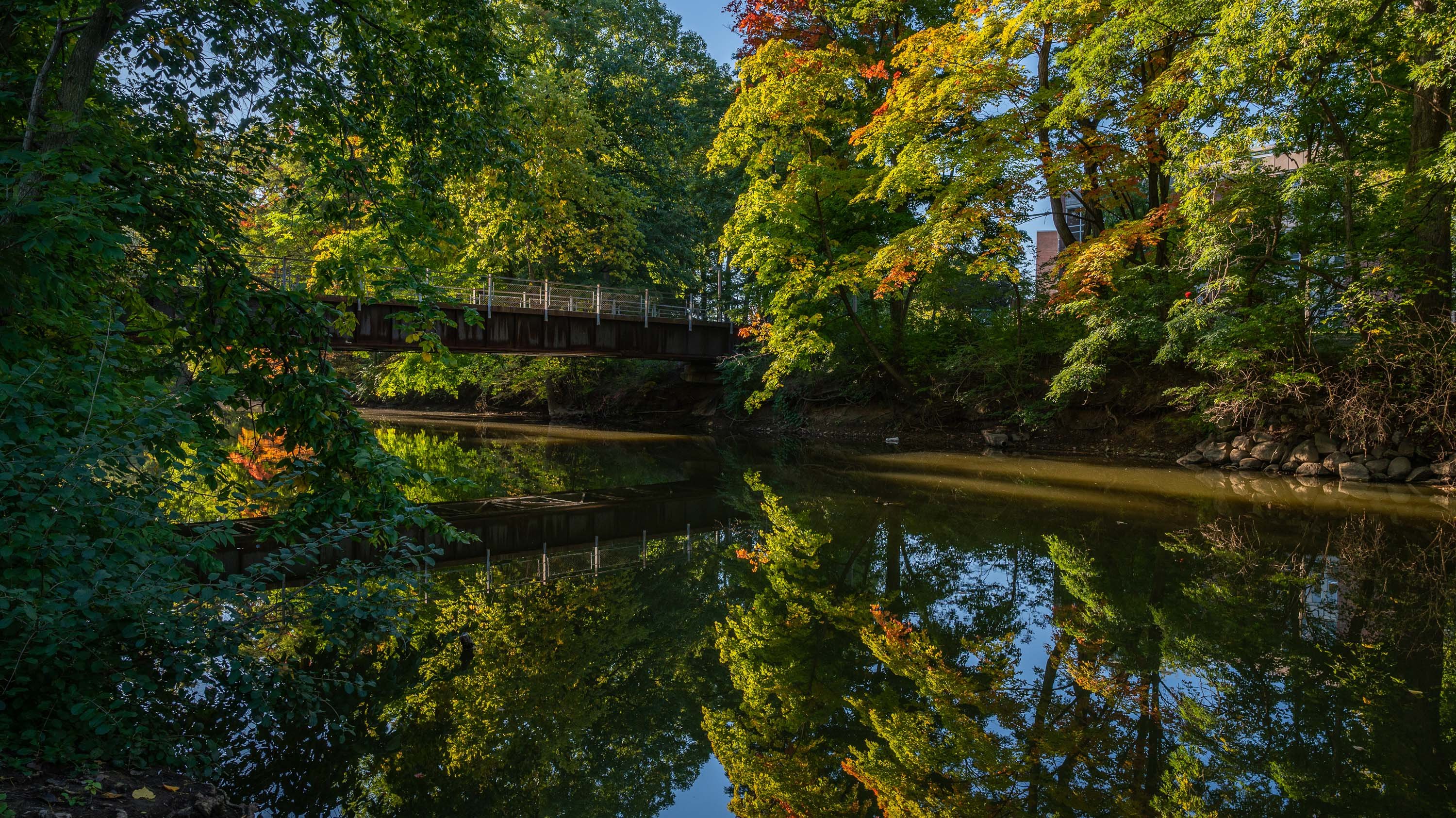 Red Cedar River reflecting trees in the water
