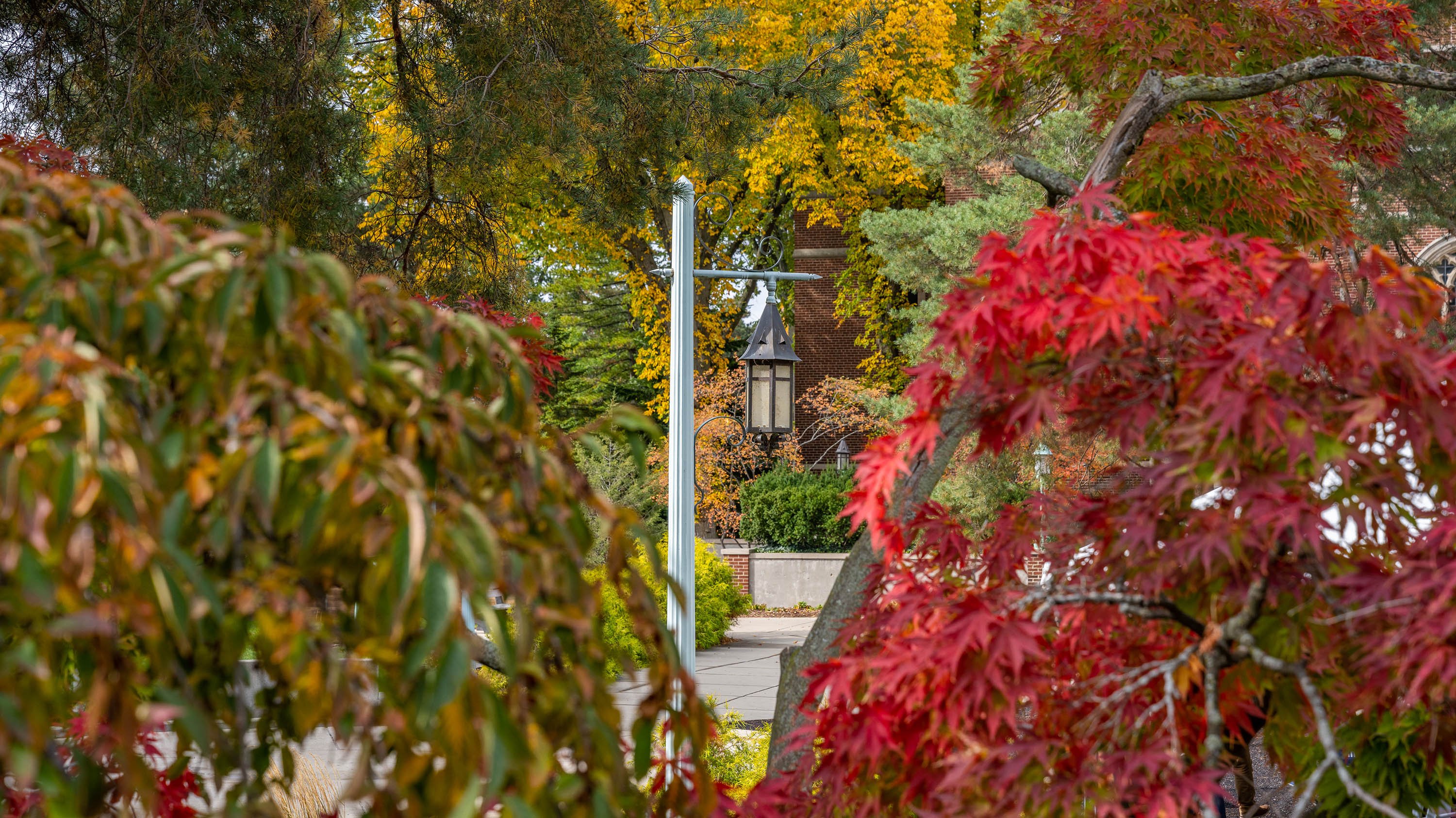 MSU lantern surrounded by autumn leaves