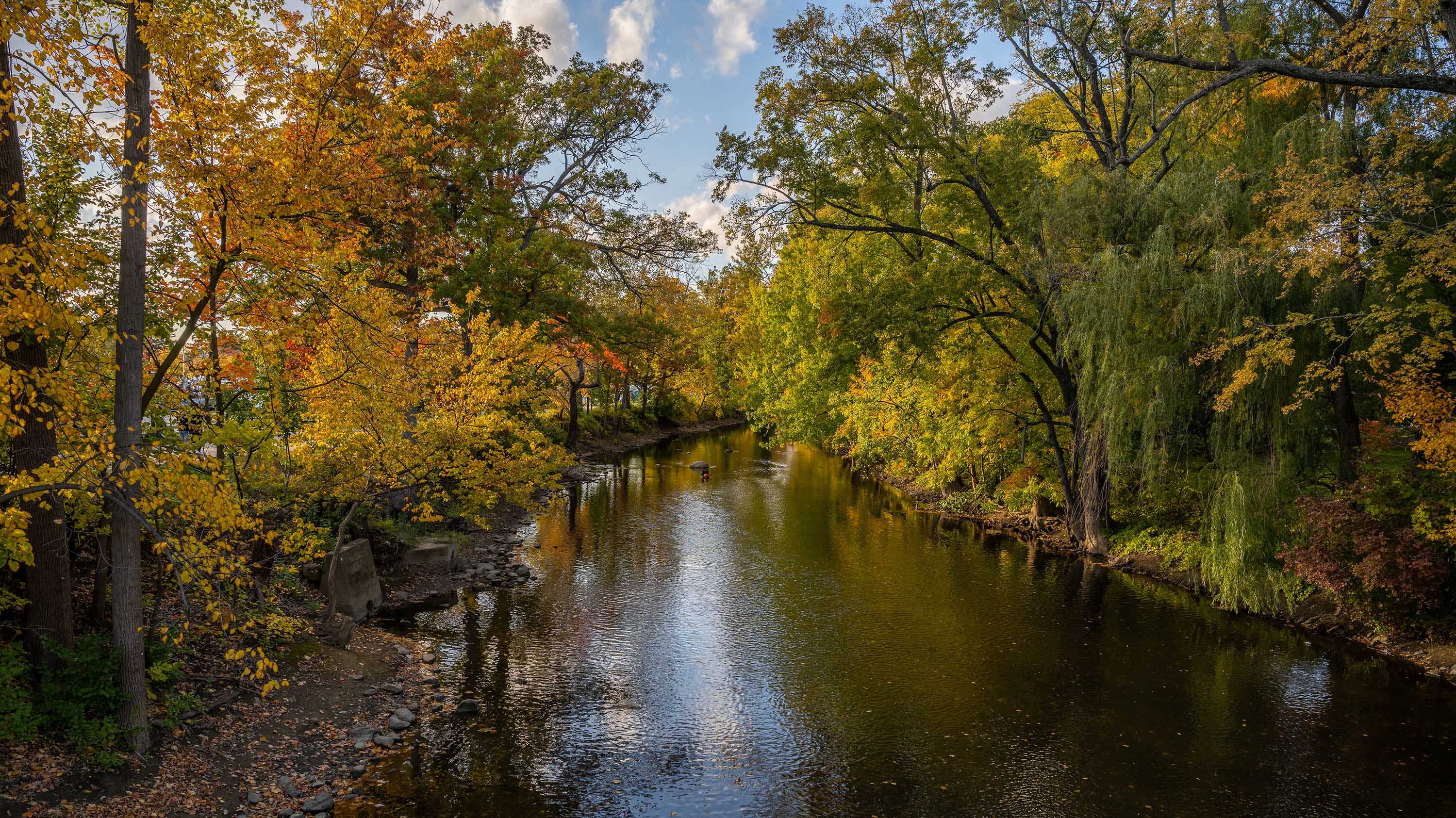 Red Cedar river