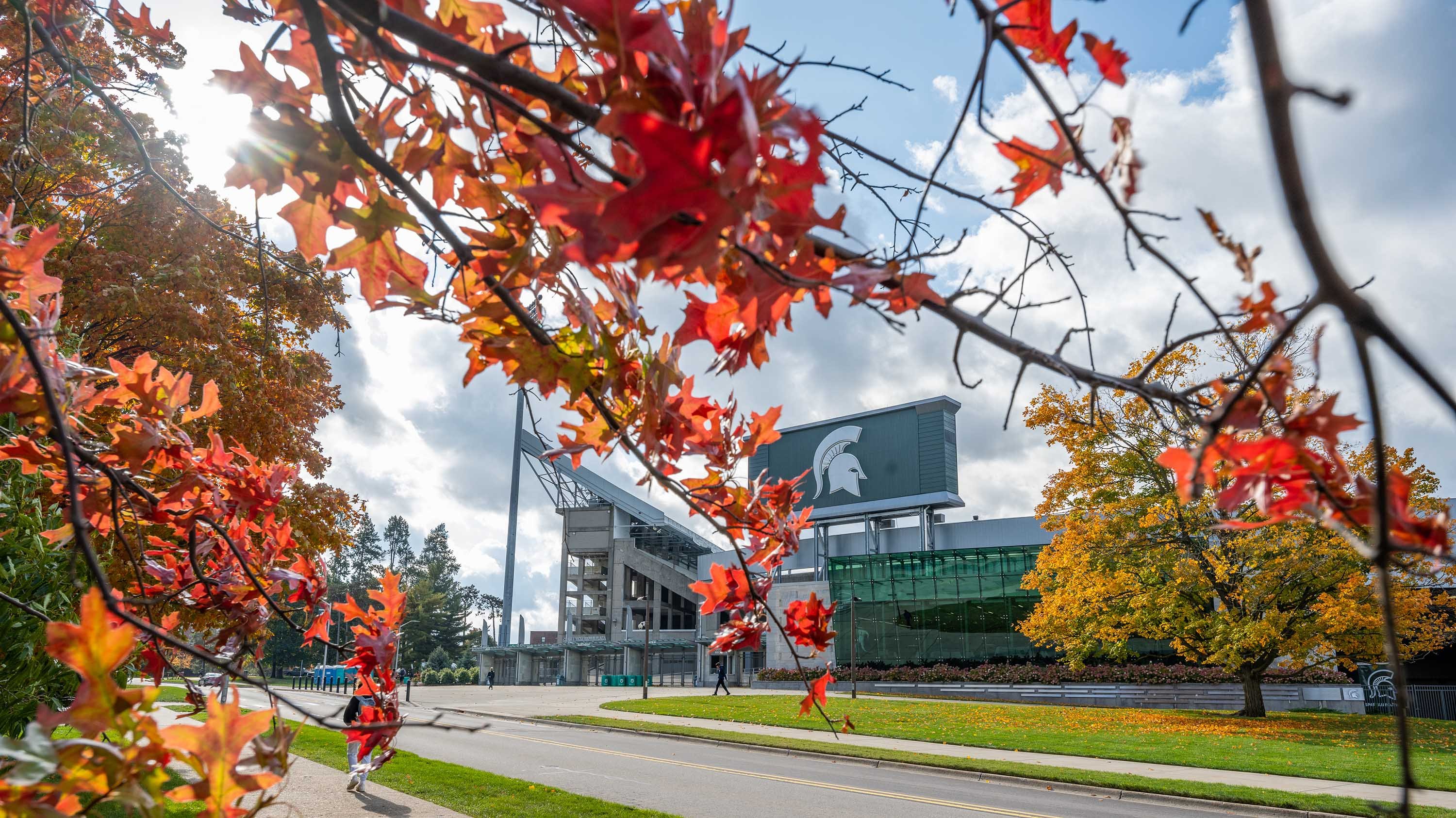 Leaves in front of Spartan Stadium