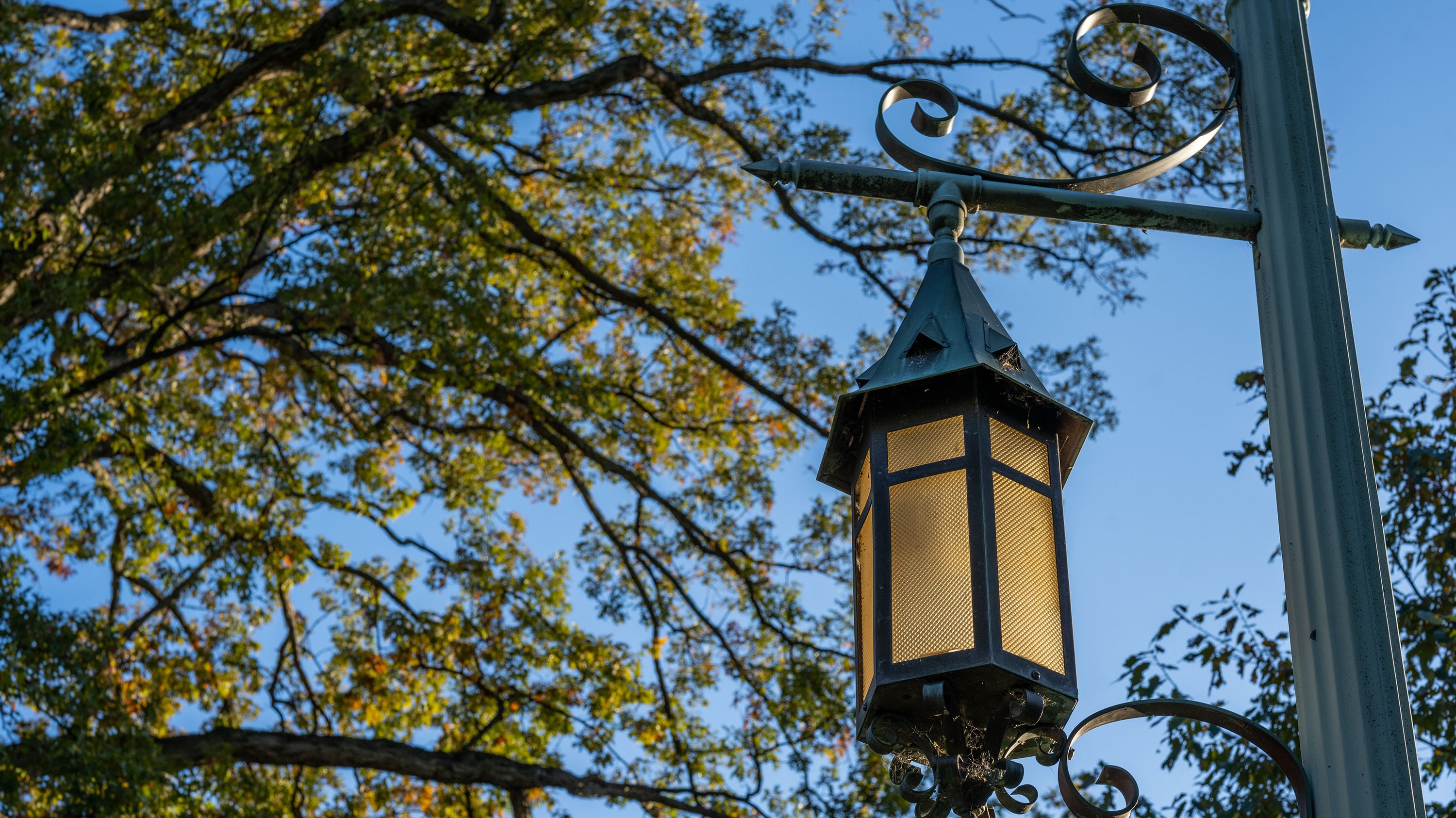 MSU lantern