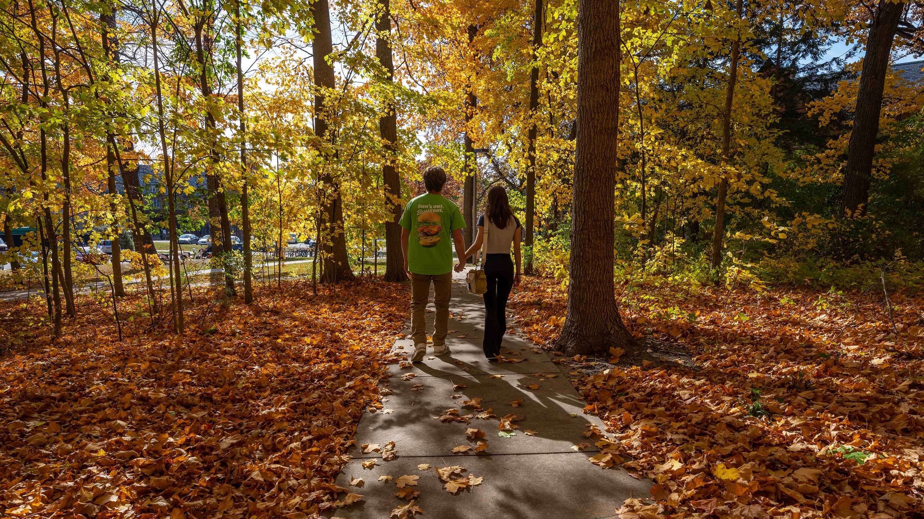 Two people walking down a leafy path