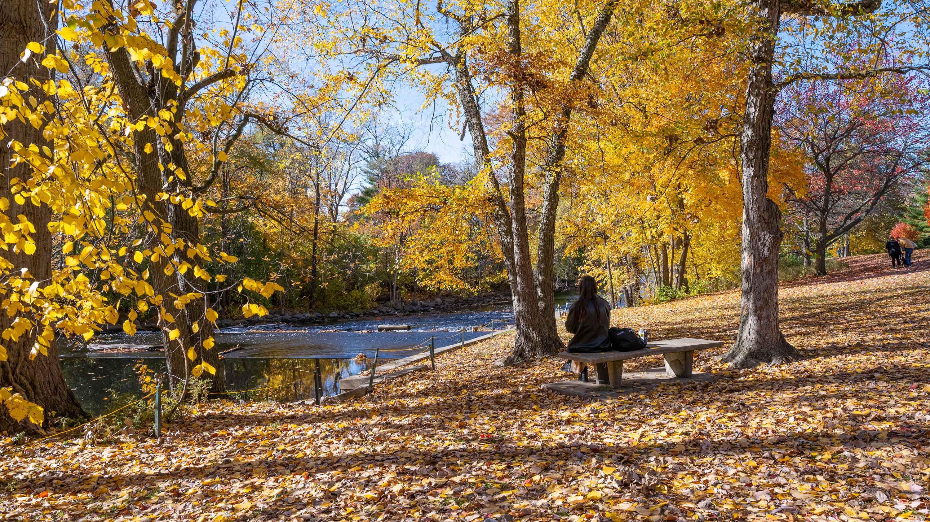 Person sitting on a bench near Red Cedar River