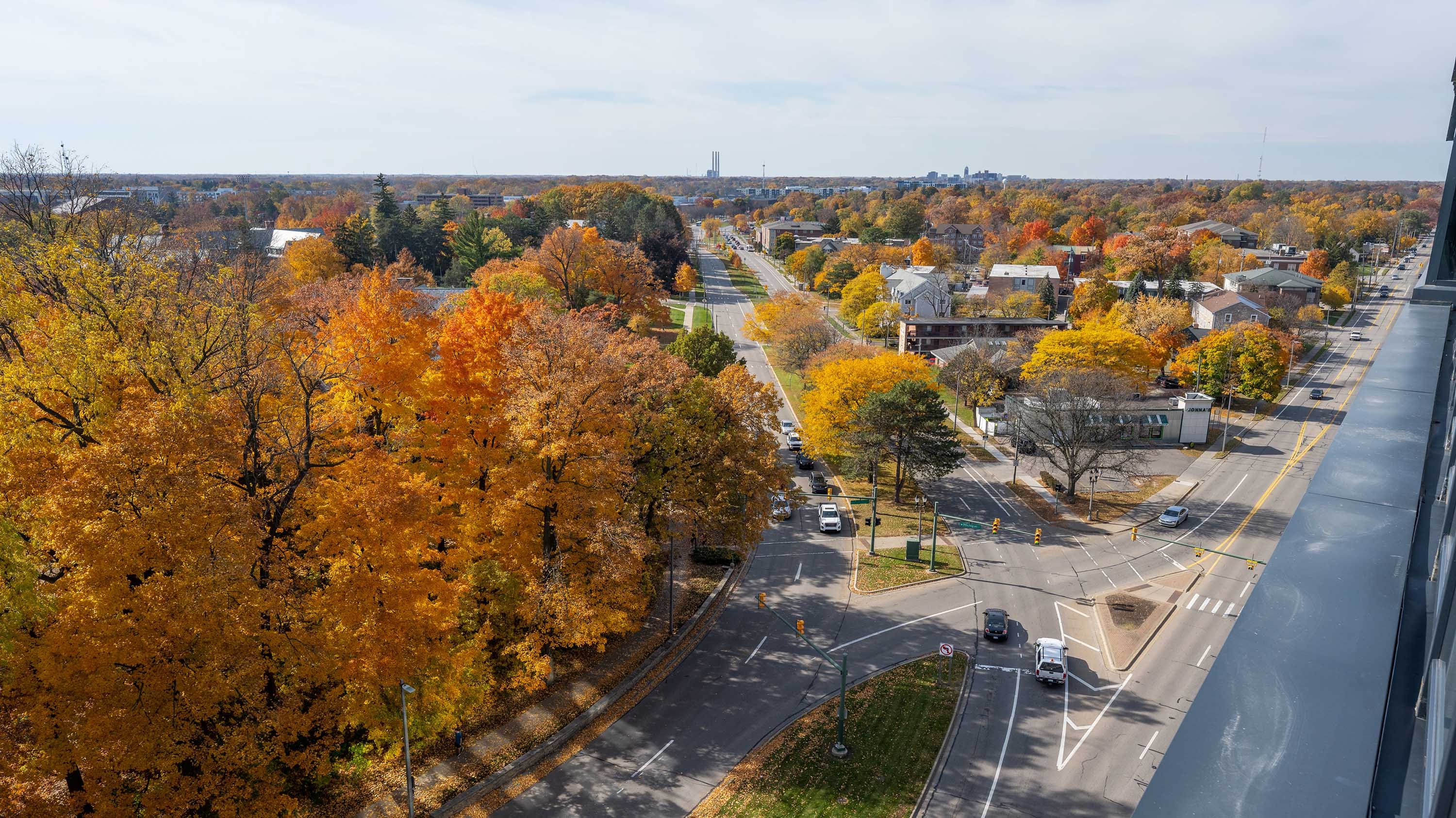 MSU seen from above in fall