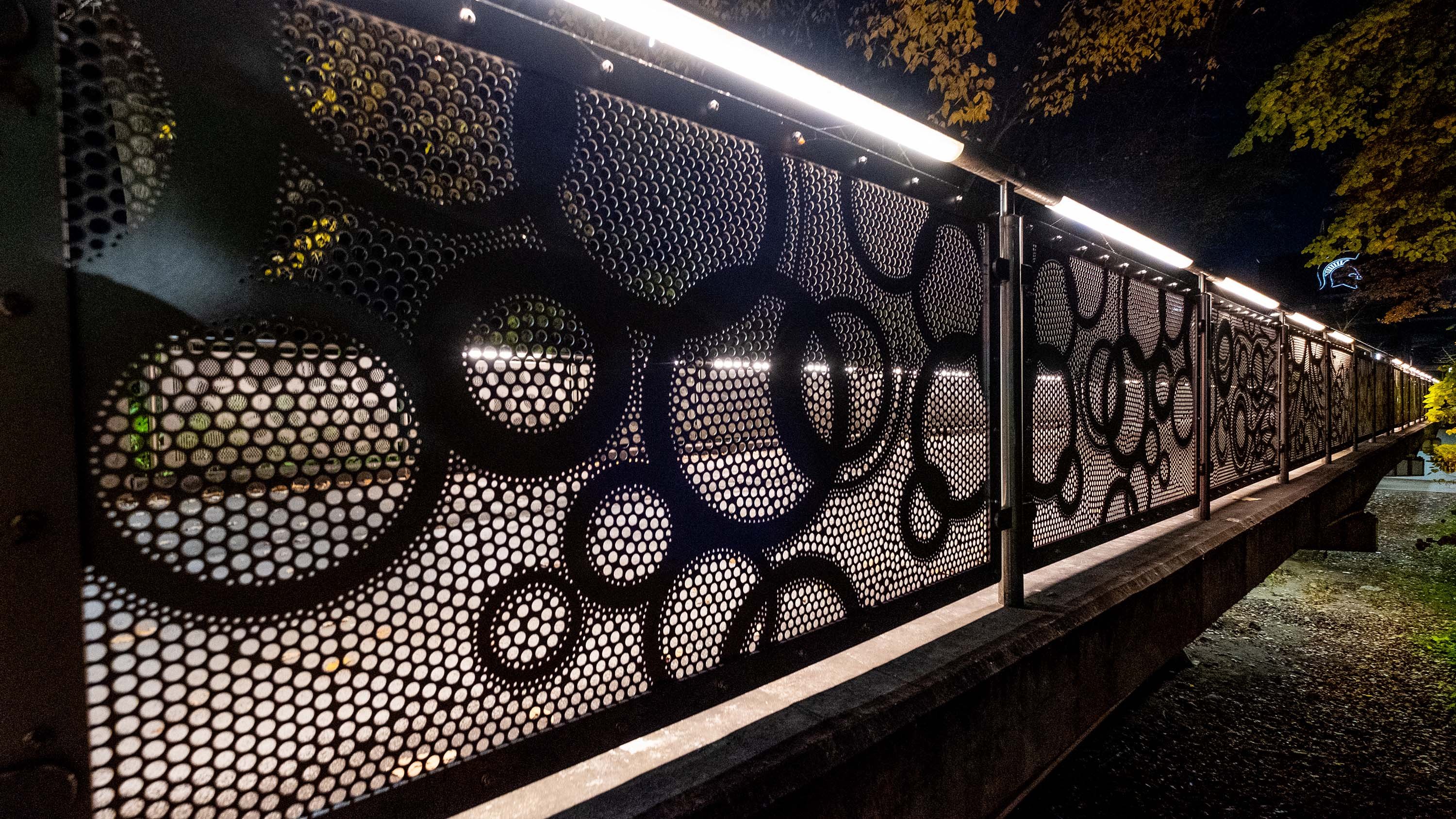 MSU Library bridge at night