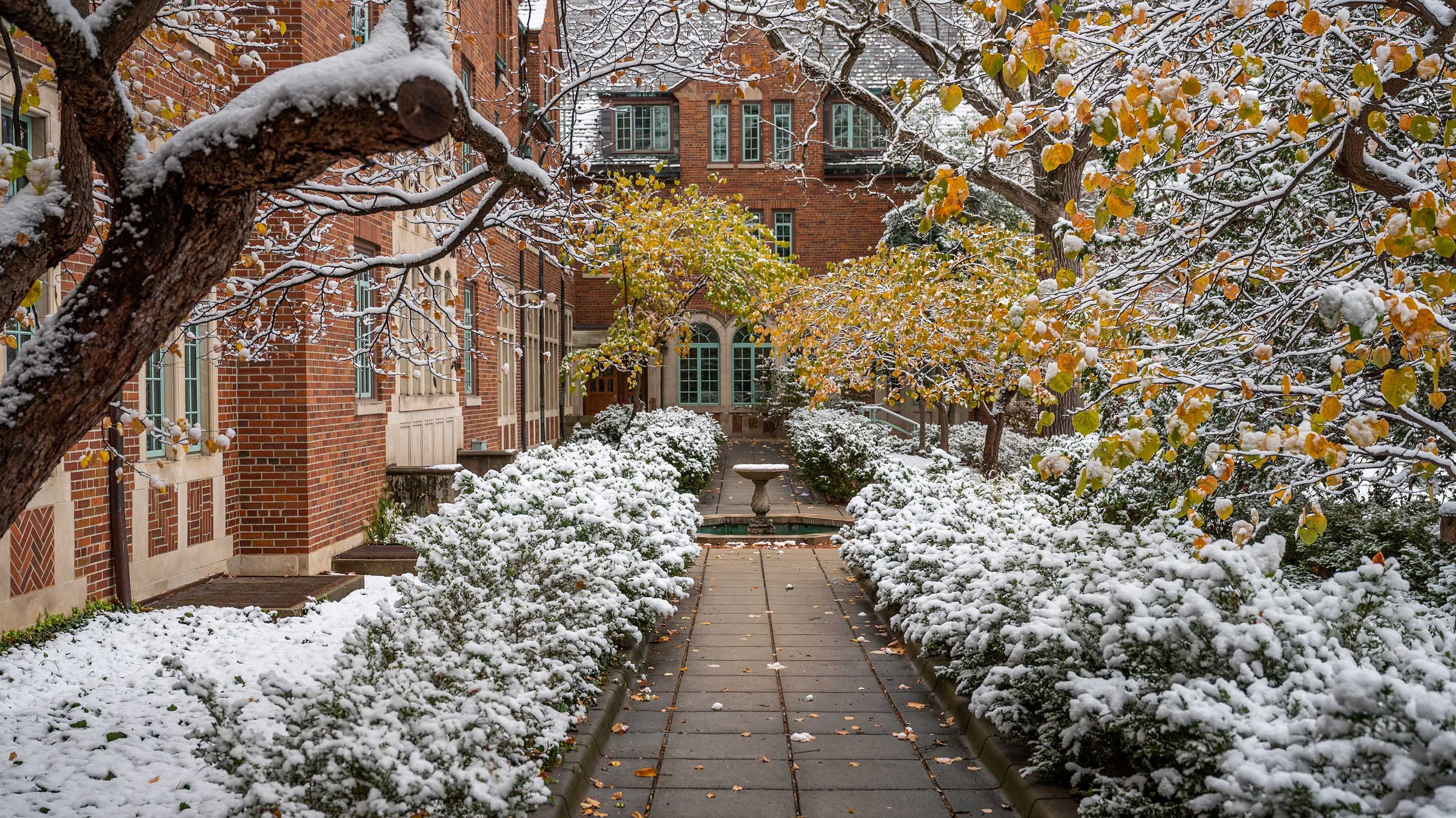 Mayo Hall courtyard in winter