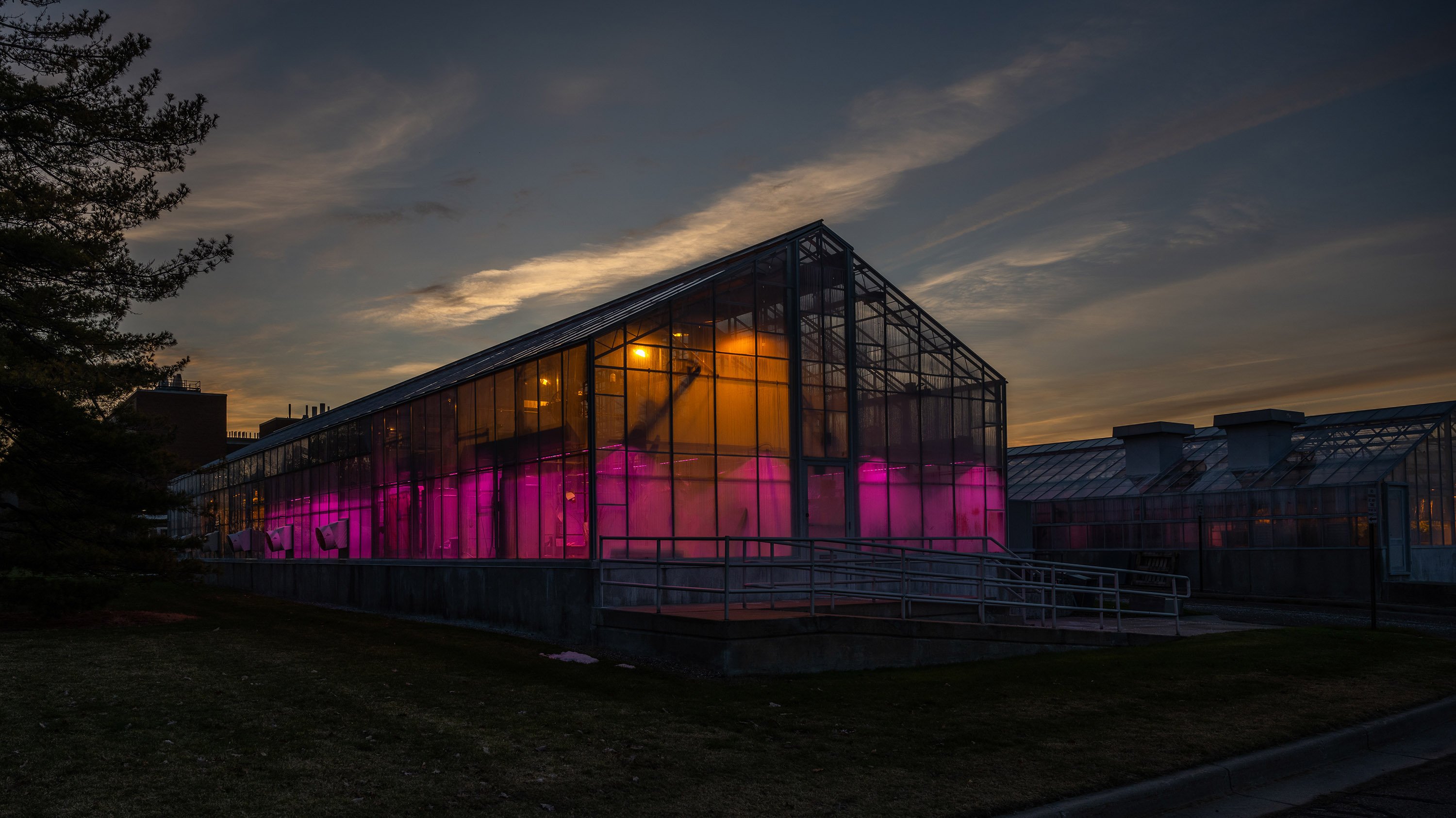 MSU greenhouse at sunrise
