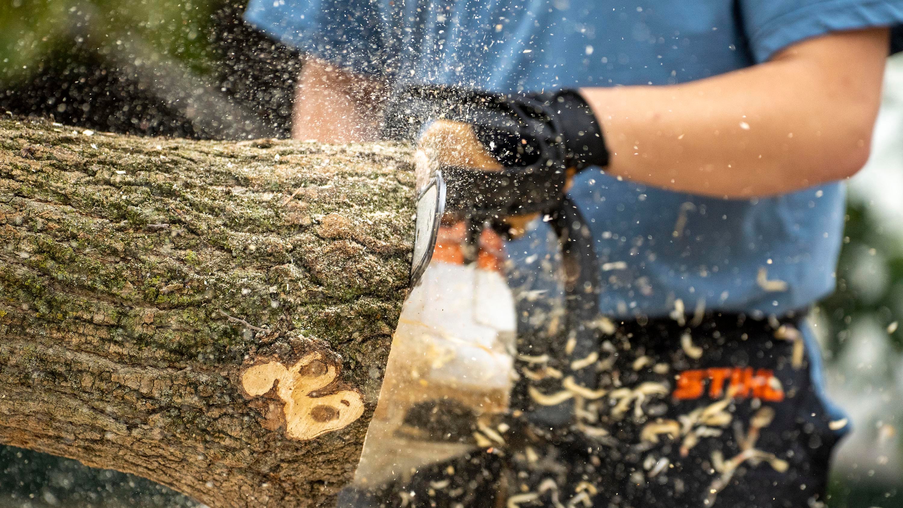 Chainsaw cutting a log