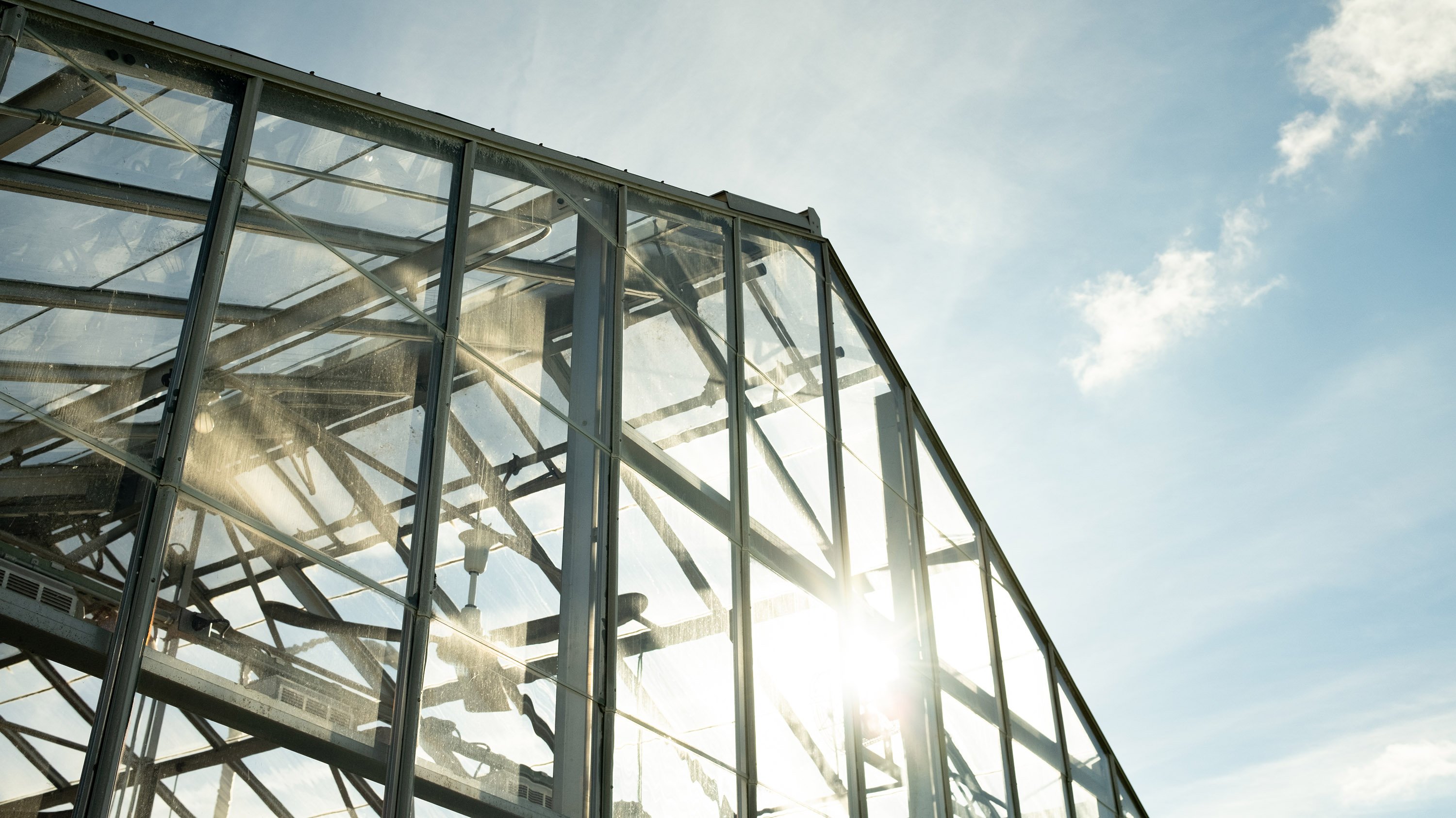 Greenhouse exterior