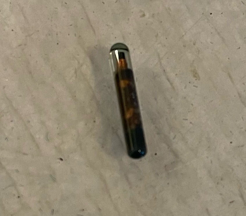 A 12mm full duplex PIT tag used for adults and juveniles. Image courtesy of Doug Larson