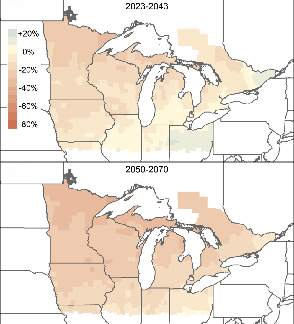Two maps stacked vertically of the northern U.S. and southern Canada show projected changes in monarch butterfly populations. The top map is for 2023 to 2043 and the bottom is for 2050 to 2070. In the top map, areas of Ohio and Canada feature counties shaded green, indicating population growth up to about 20% from 2004 to 2018 levels. Pockets of southern Michigan, Indiana and Illinois contain yellow counties, indicating no change. The remaining areas in the Midwest feature orange hues, showing decreases of about 10% to 20%. In the lower map, most counties are darker orange, indicating greater declines in monarch abundance.