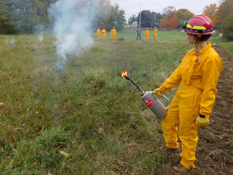 Forestry student in a field during a prescribed burn