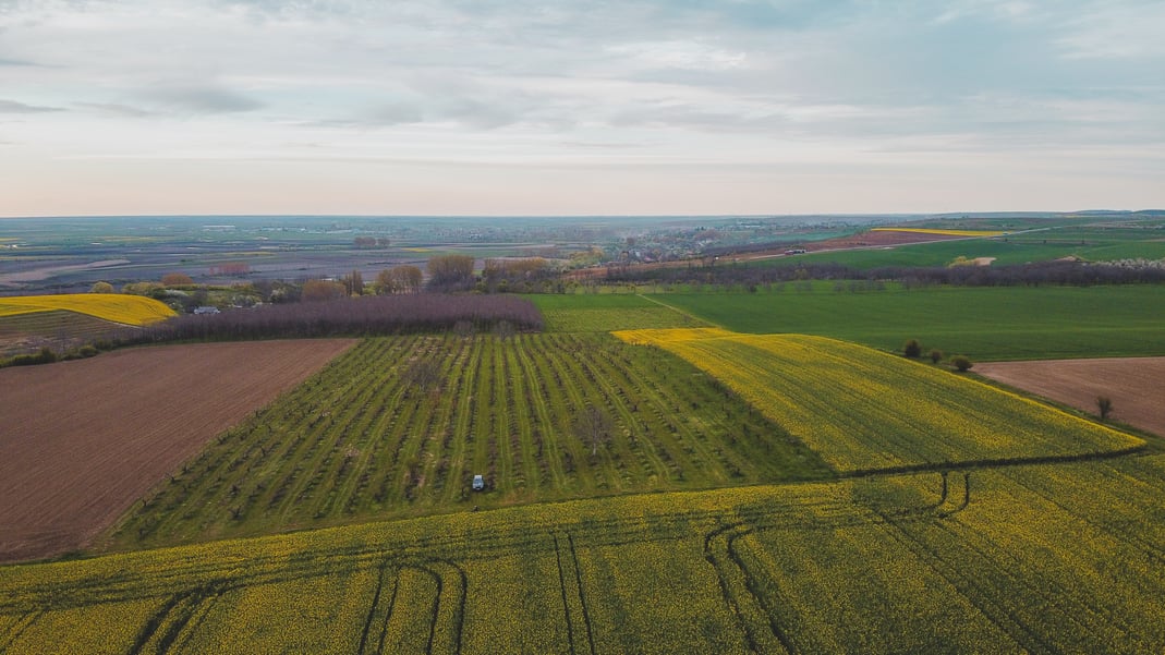A bird's eye view of a Romanian farm