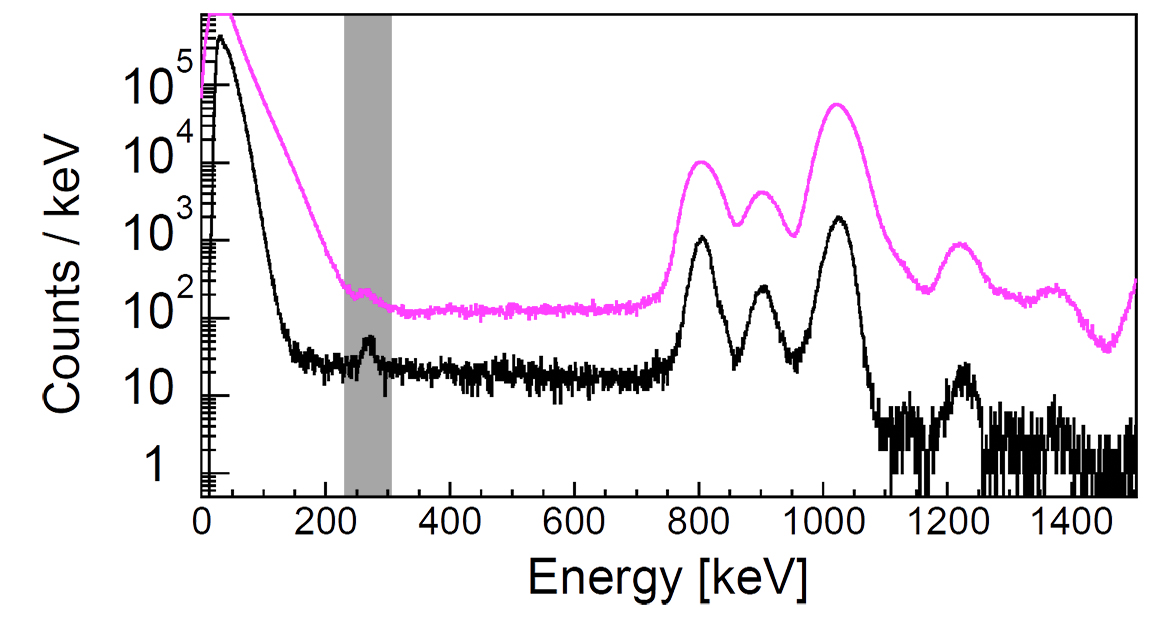 This graph shows proton detection data from the GADGET instrument. Readings from a single detector pad are shown in black and an aggregated signal from five pads is shown in pink. In both curves, several peaks are obvious above energies of about 800 keV, or kiloelectronvolts. What GADGET allowed researchers to detect was the important but tiny blip at the low energy of 260 keV (highlighted with a gray bar). Before these measurements, a proton peak this weak from this type of nuclear process had never been detected below 400 keV.