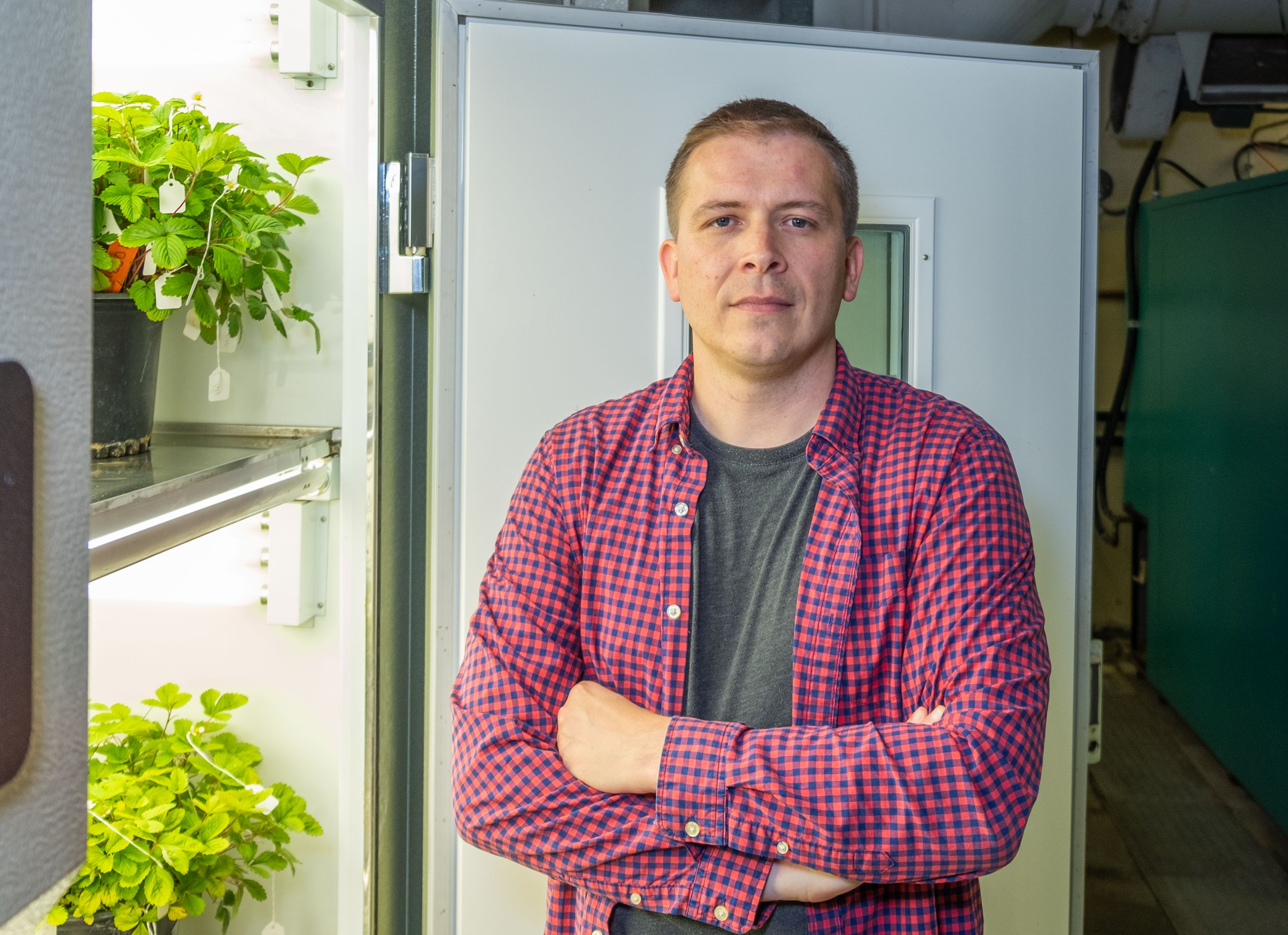 Associate Professor Patrick Edger, Molecular Plant Sciences program faculty member.