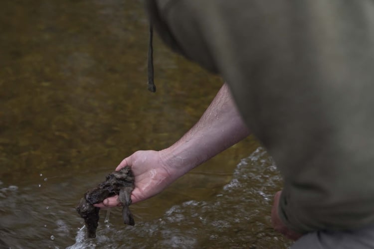 While didymo is often referred to as ‘rock snot,’ it is not slimy like typical algae and instead feels like wet wool.