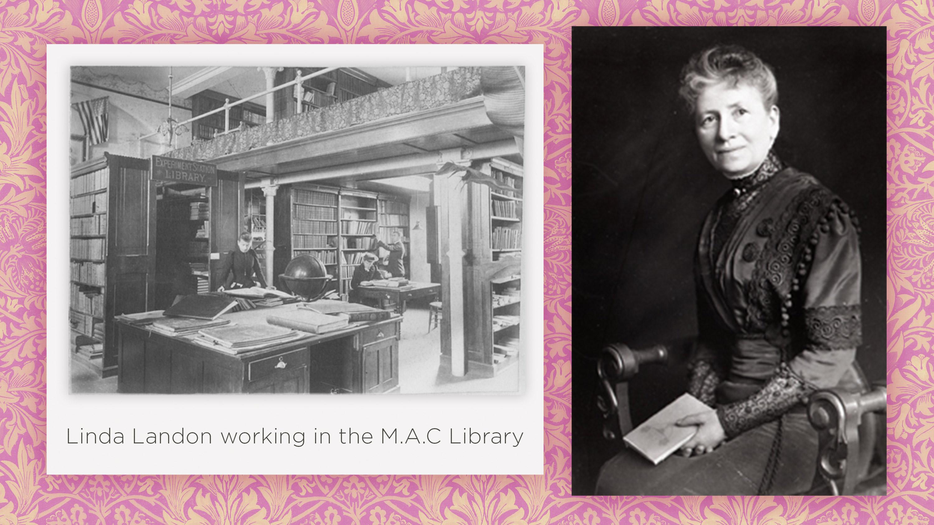 Images overlaid on a pink wallpaper-patterned background; Linda Landon working in M.A.C Library, portrait of Linda Landon