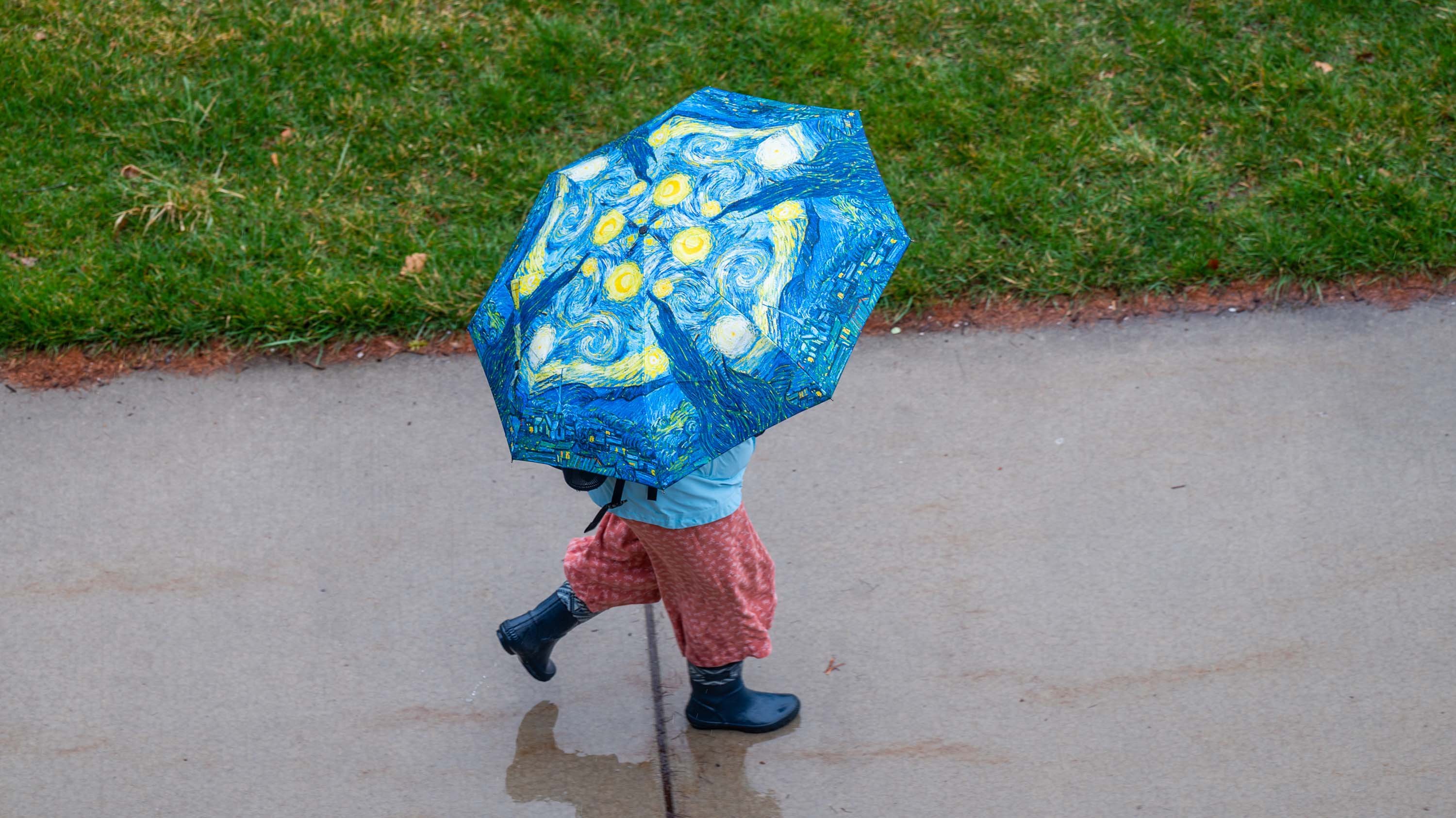 Student walking with Starry Night umbrella
