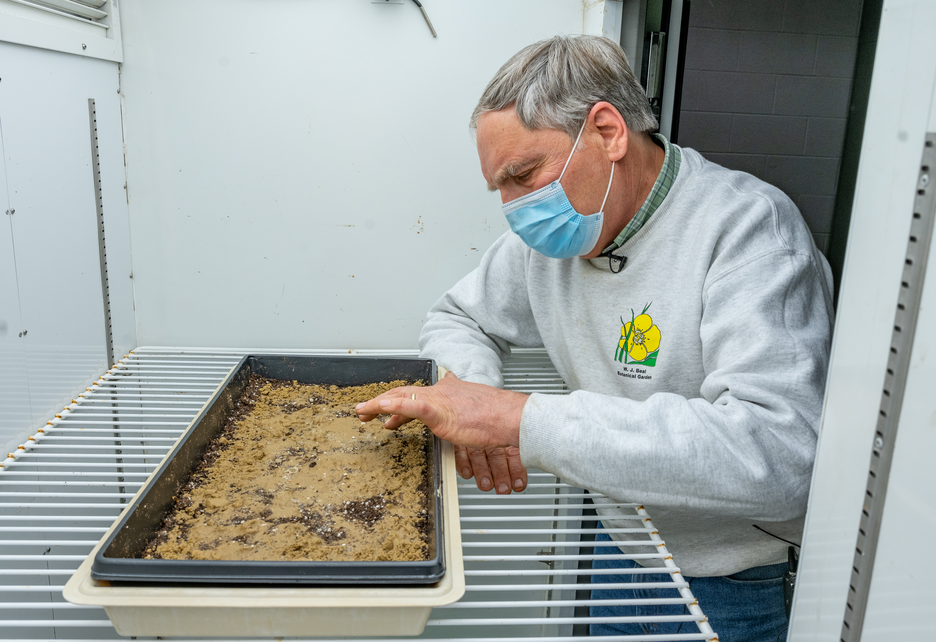 Frank Telewski, professor emeritus, plant biologist and Beal team leader in the growth lab with the newly planted seeds.