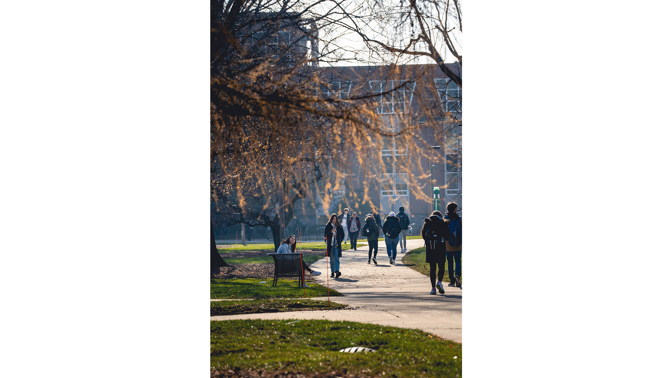 Students walking on campus