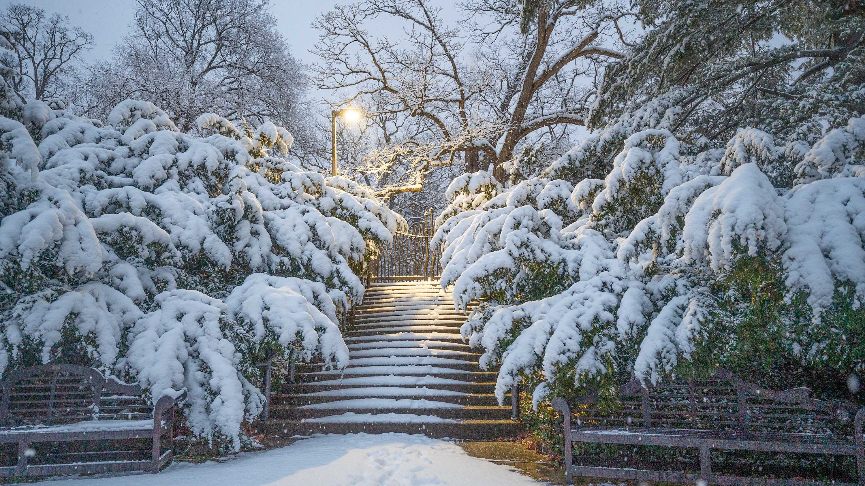 Entrance to Beal Garden in winter