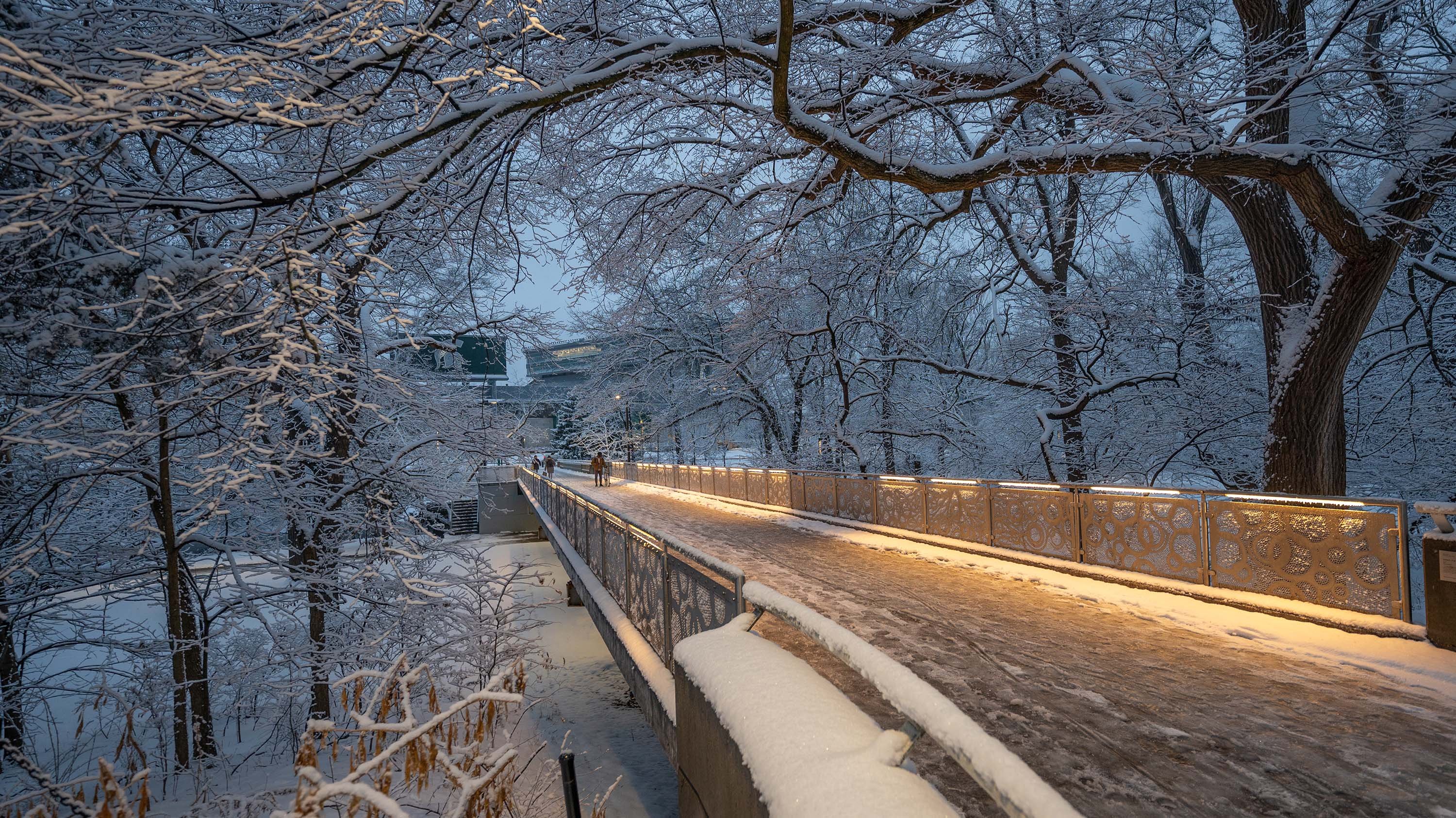 Library bridge in winter at night
