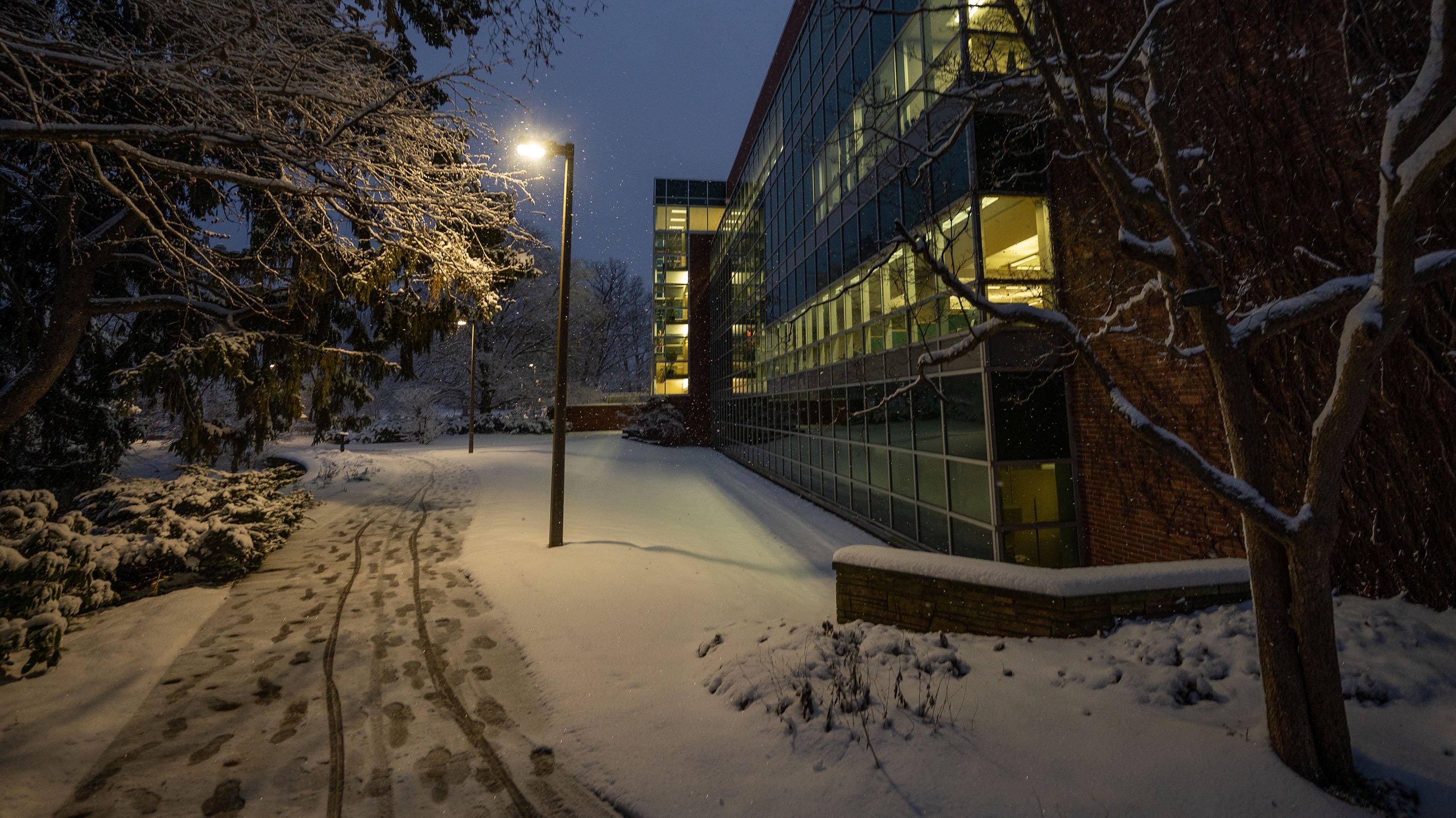 Sidewalk between Beal garden and library, covered in snow and footsteps