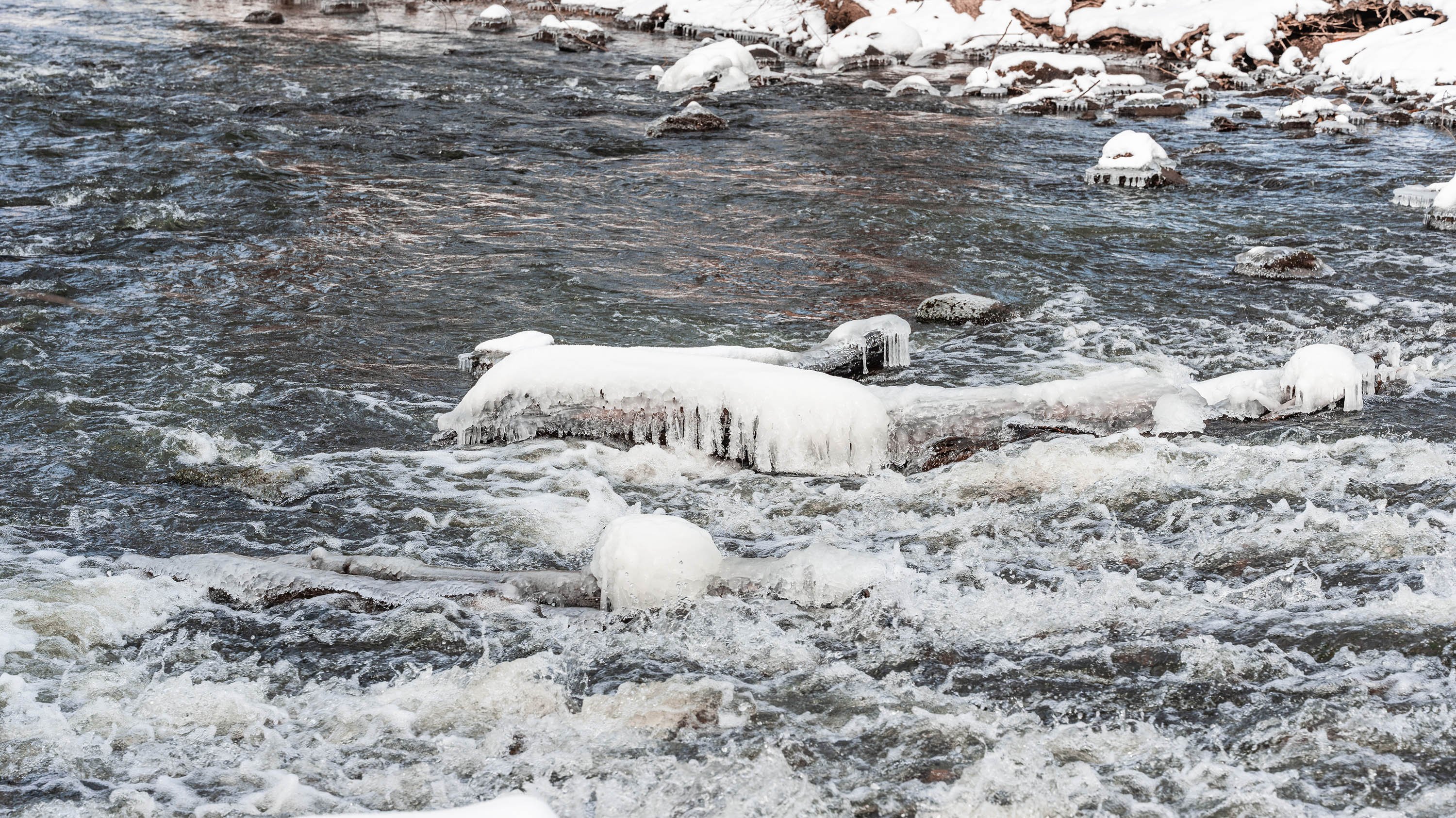 Frozen rocks and logs on the Red Cedar River