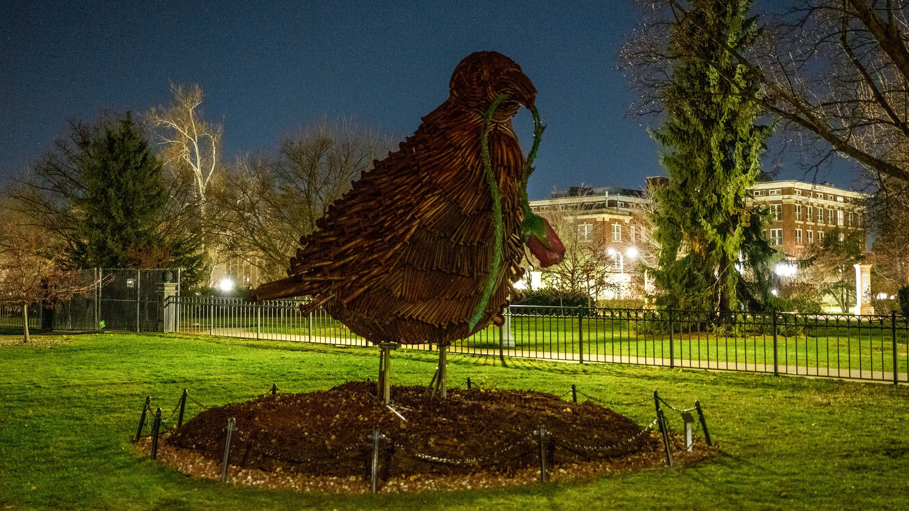 'Bird' sculpture at night