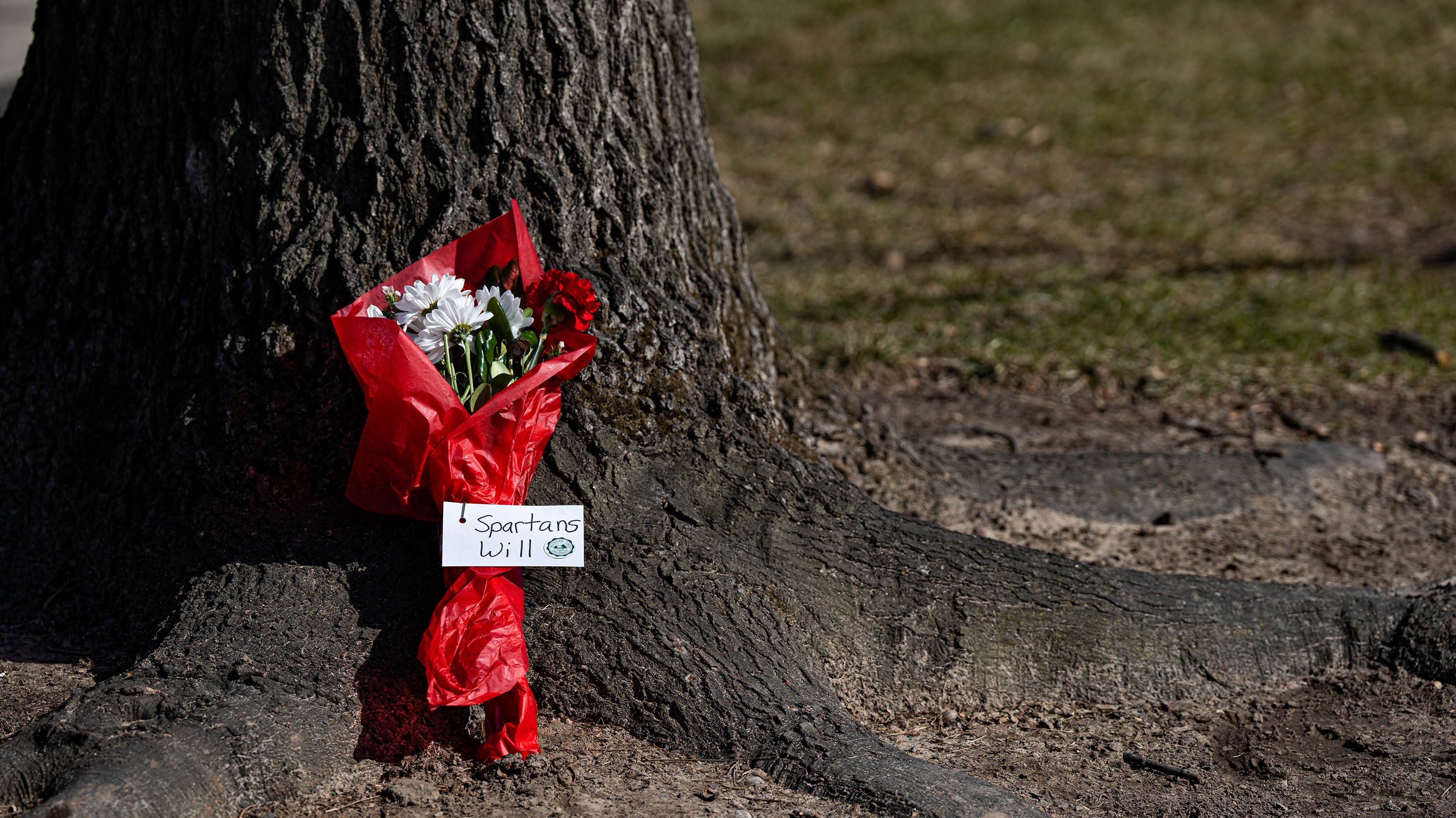 A bouquet of flowers that says Spartans Will at the base of a tree trunk