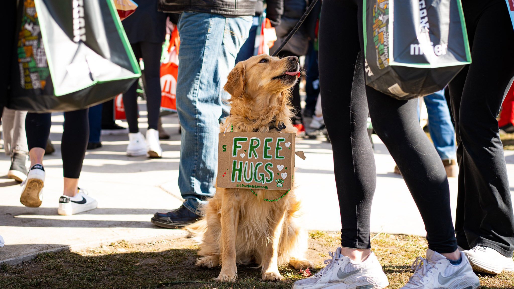 Dog with 'free hugs' sign at Spartan Sunday