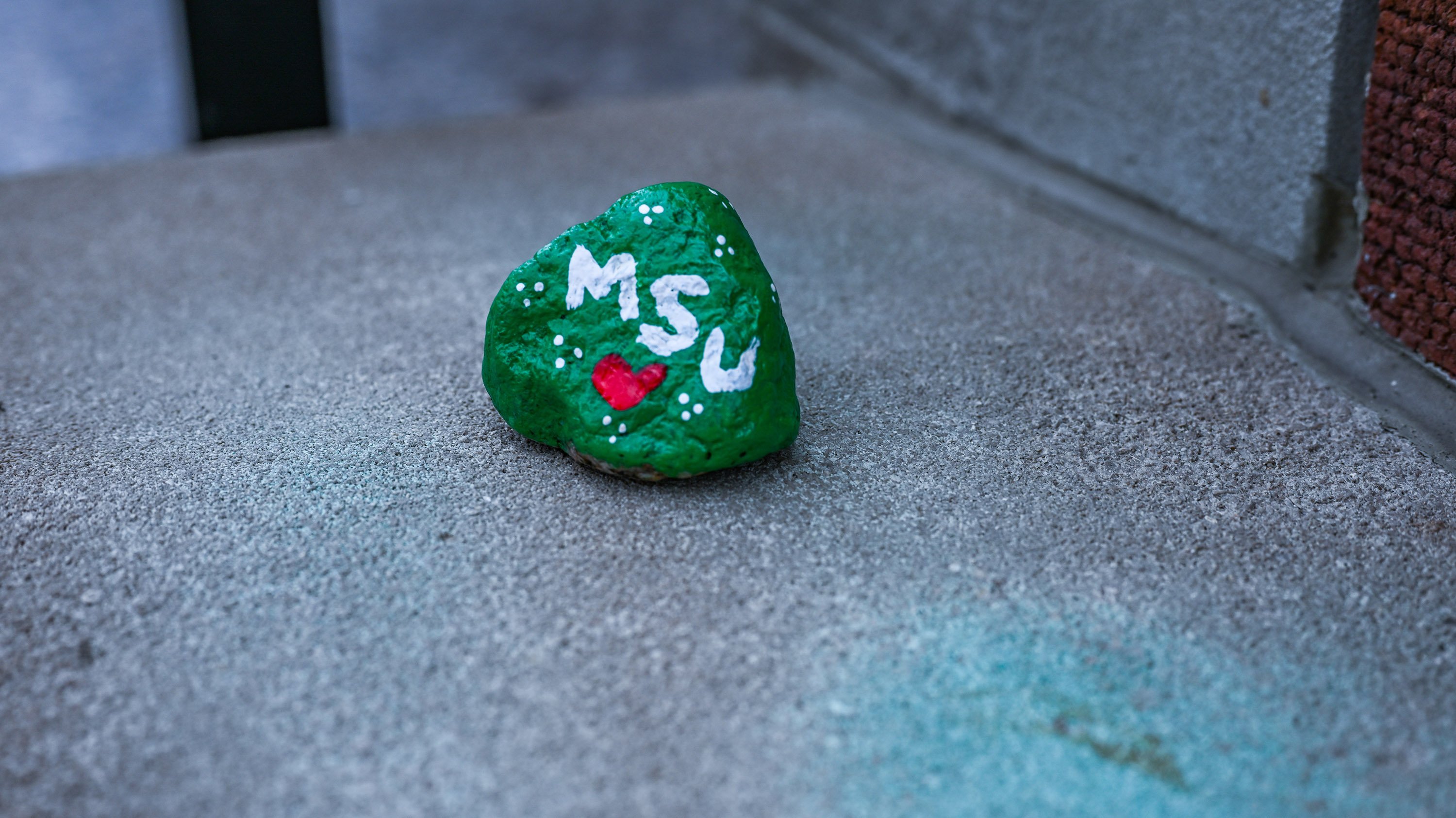 Rock painted in green and white with MSU and a red heart