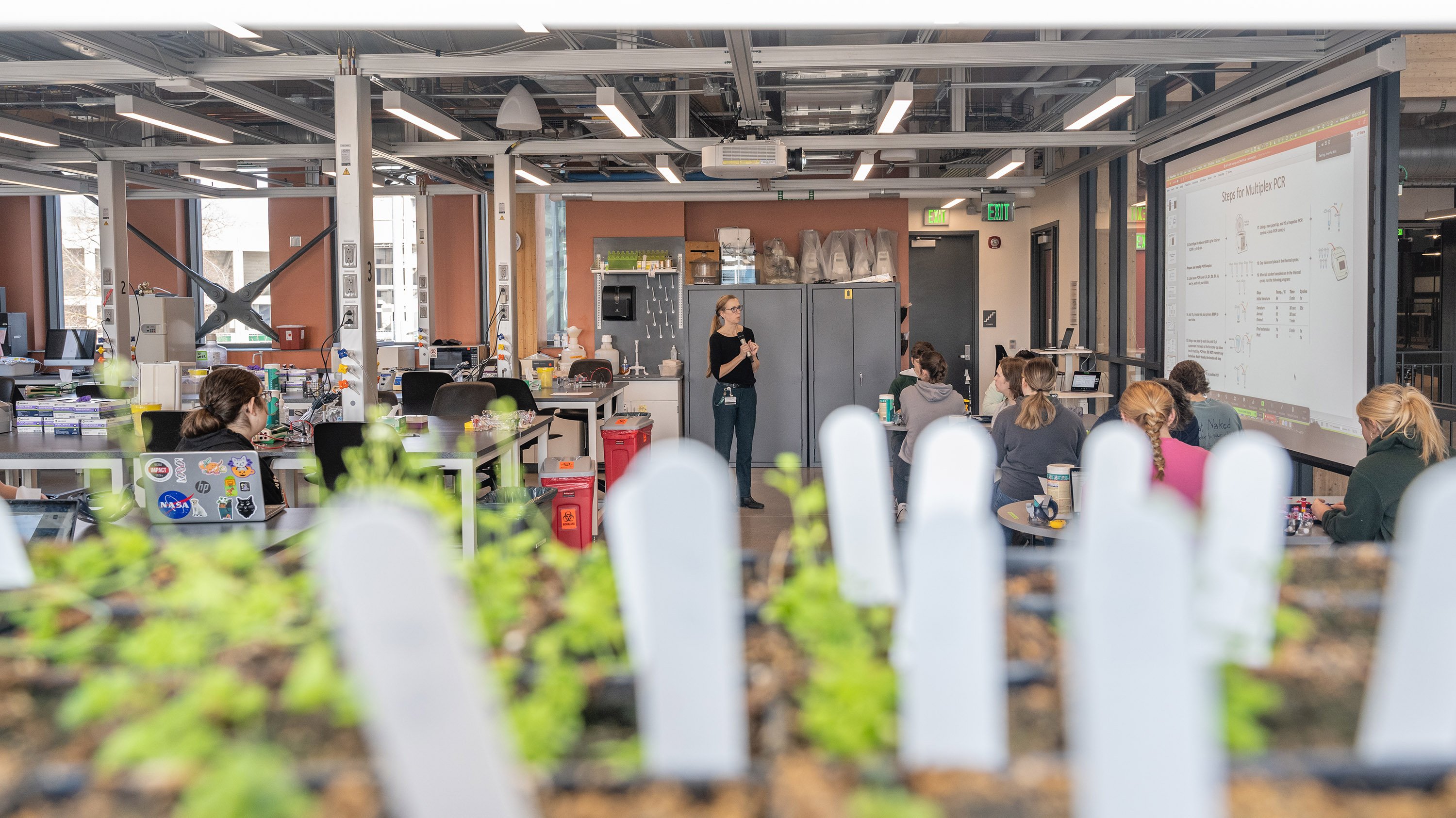 Plants in seed pots in front of a classroom of students