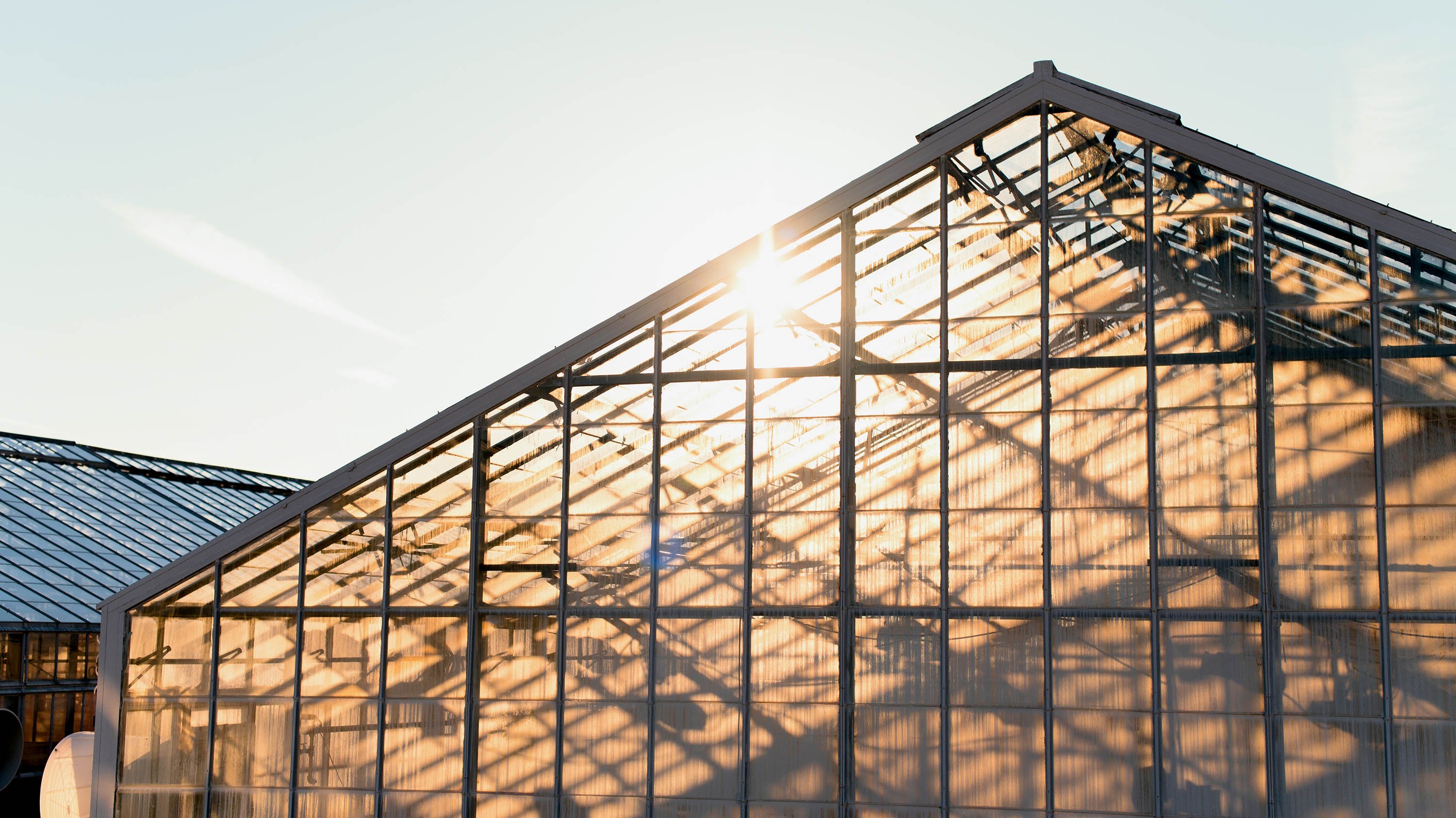 Greenhouse roof