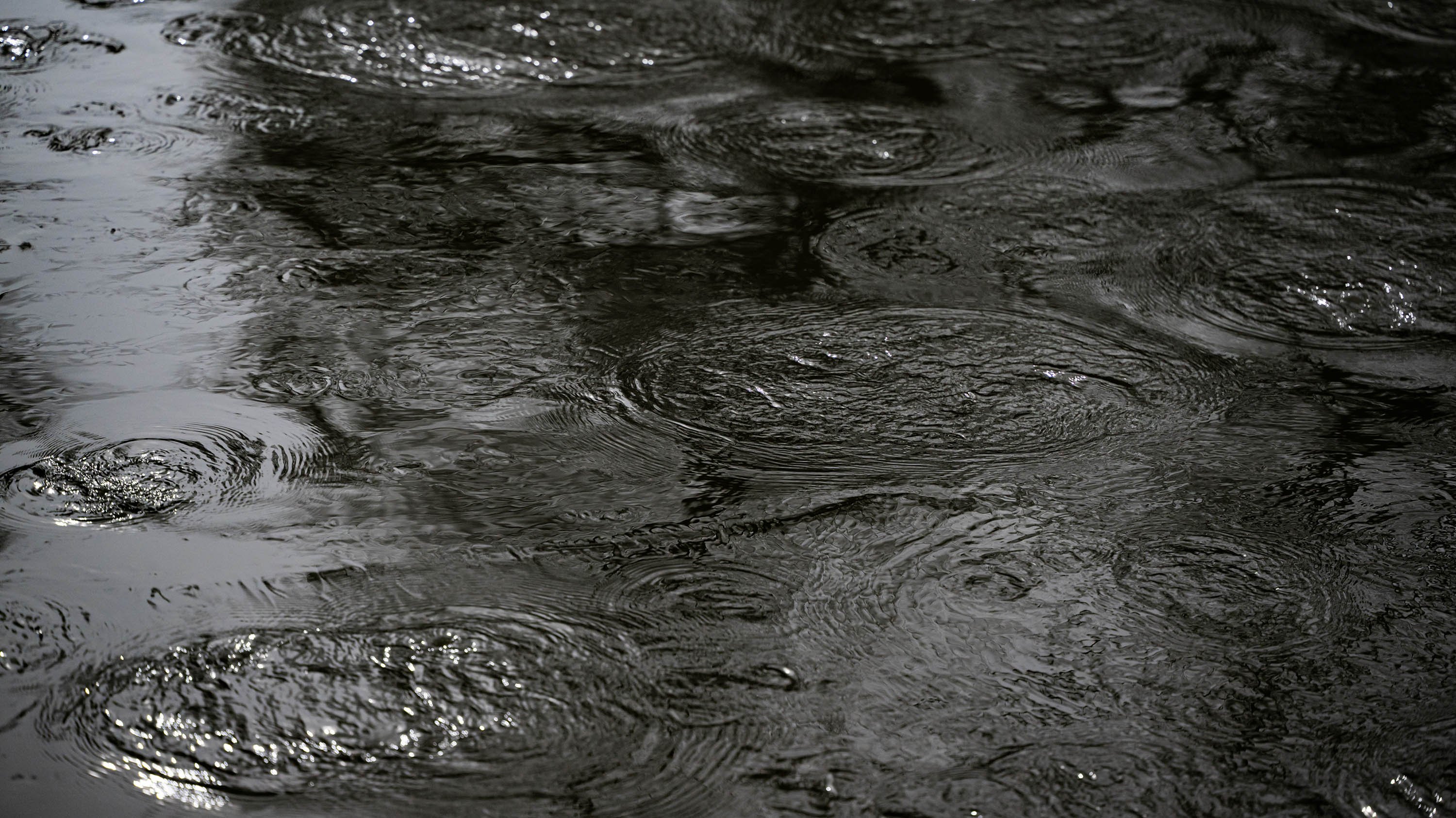 Ripples on the surface of Red cedar