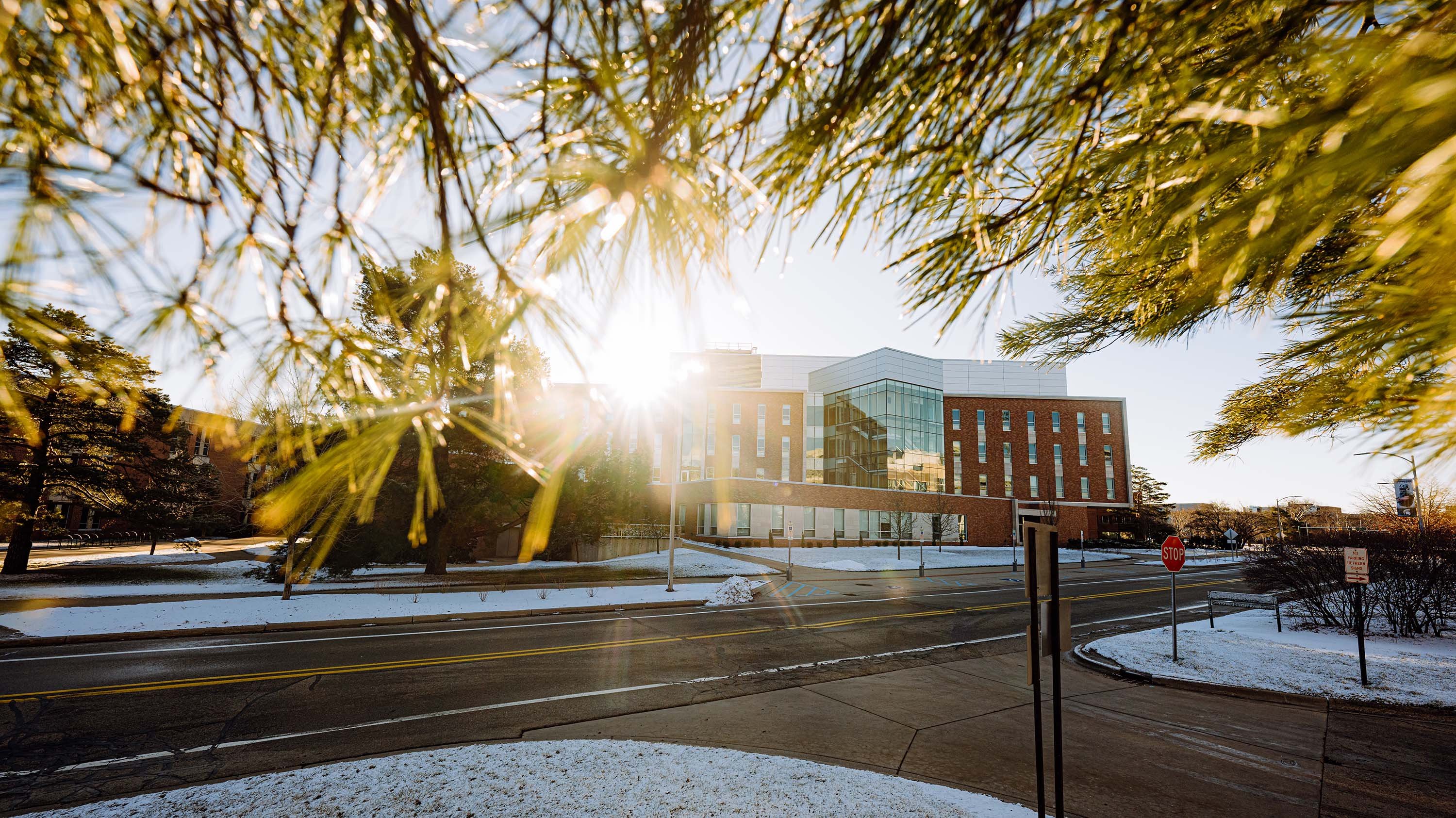 Wells Hall with the sun shining behind it