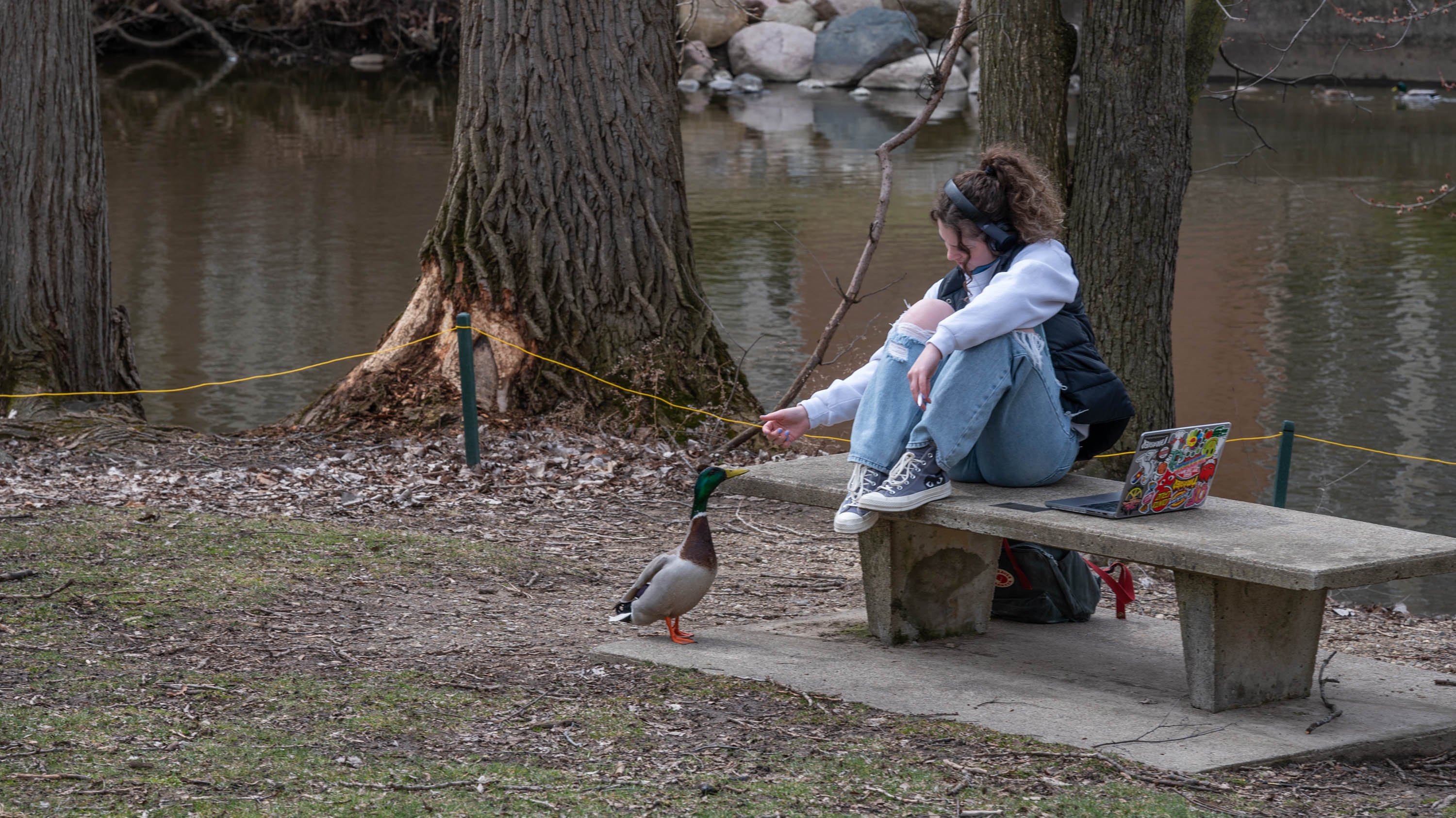 Student sitting on bench with outstretched hand to duck