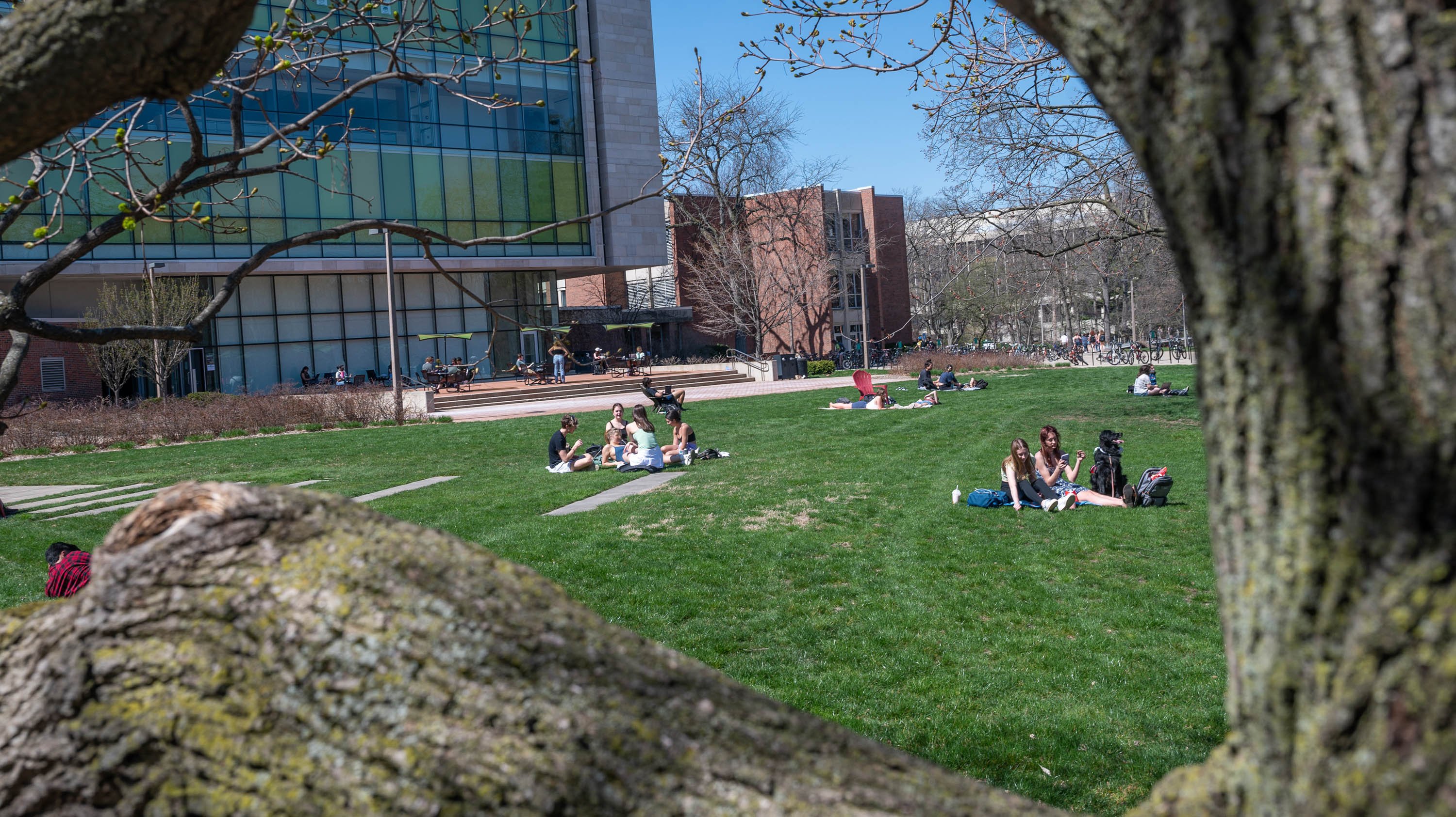Students sitting in grass on campus
