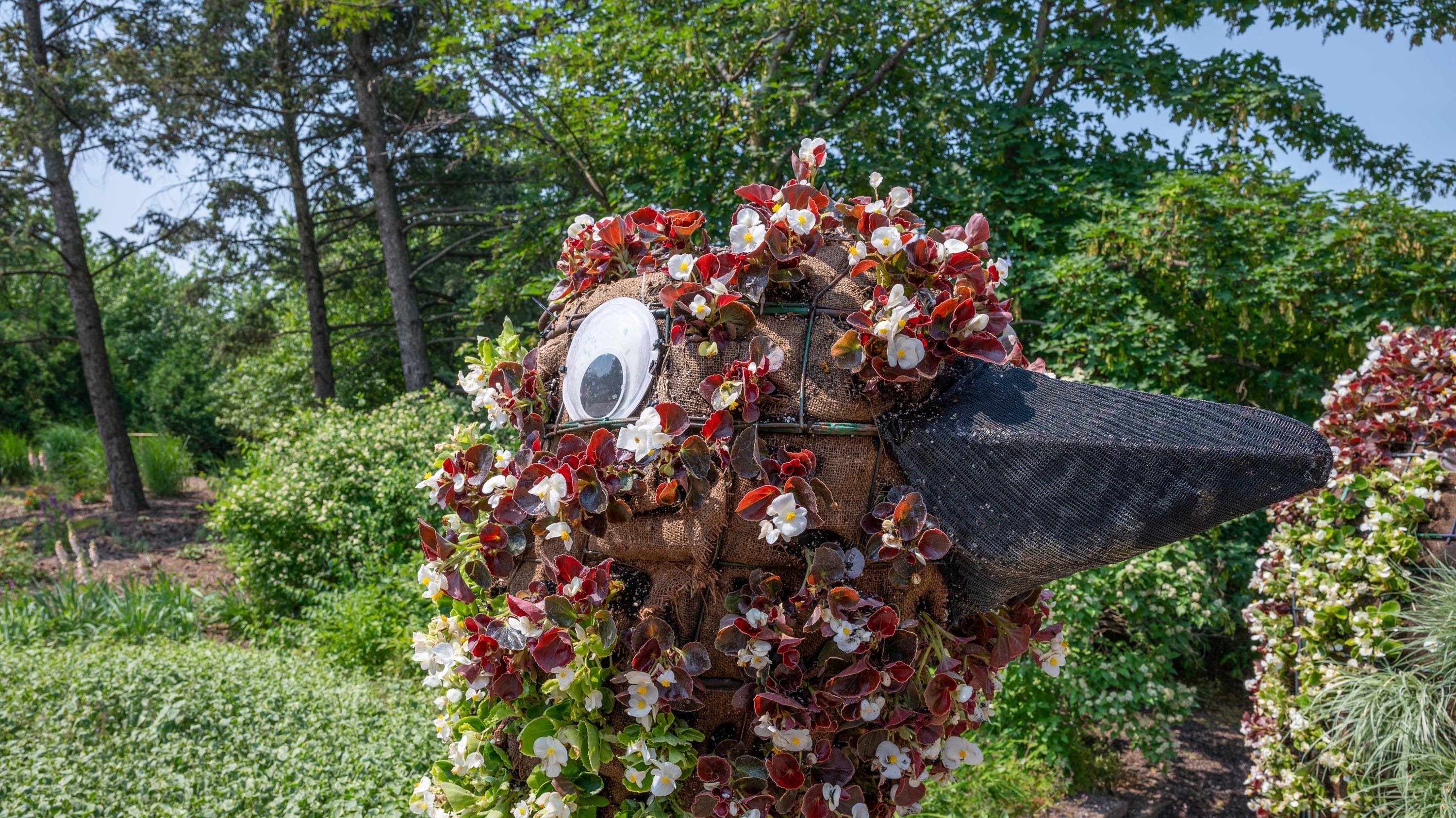 The head of 'Wilbir', the floral peacock