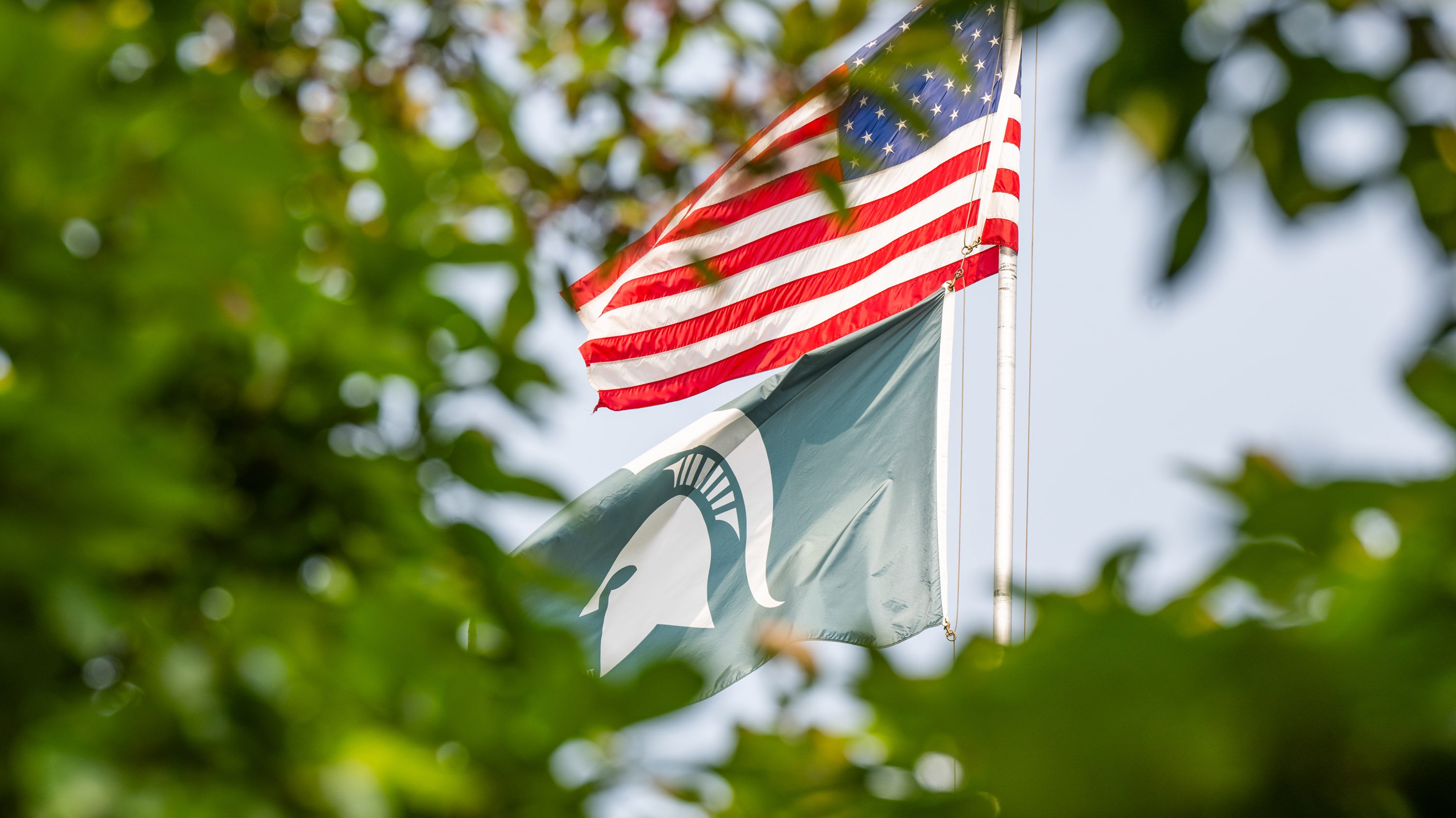 US and MSU flags surrounded by green leaves